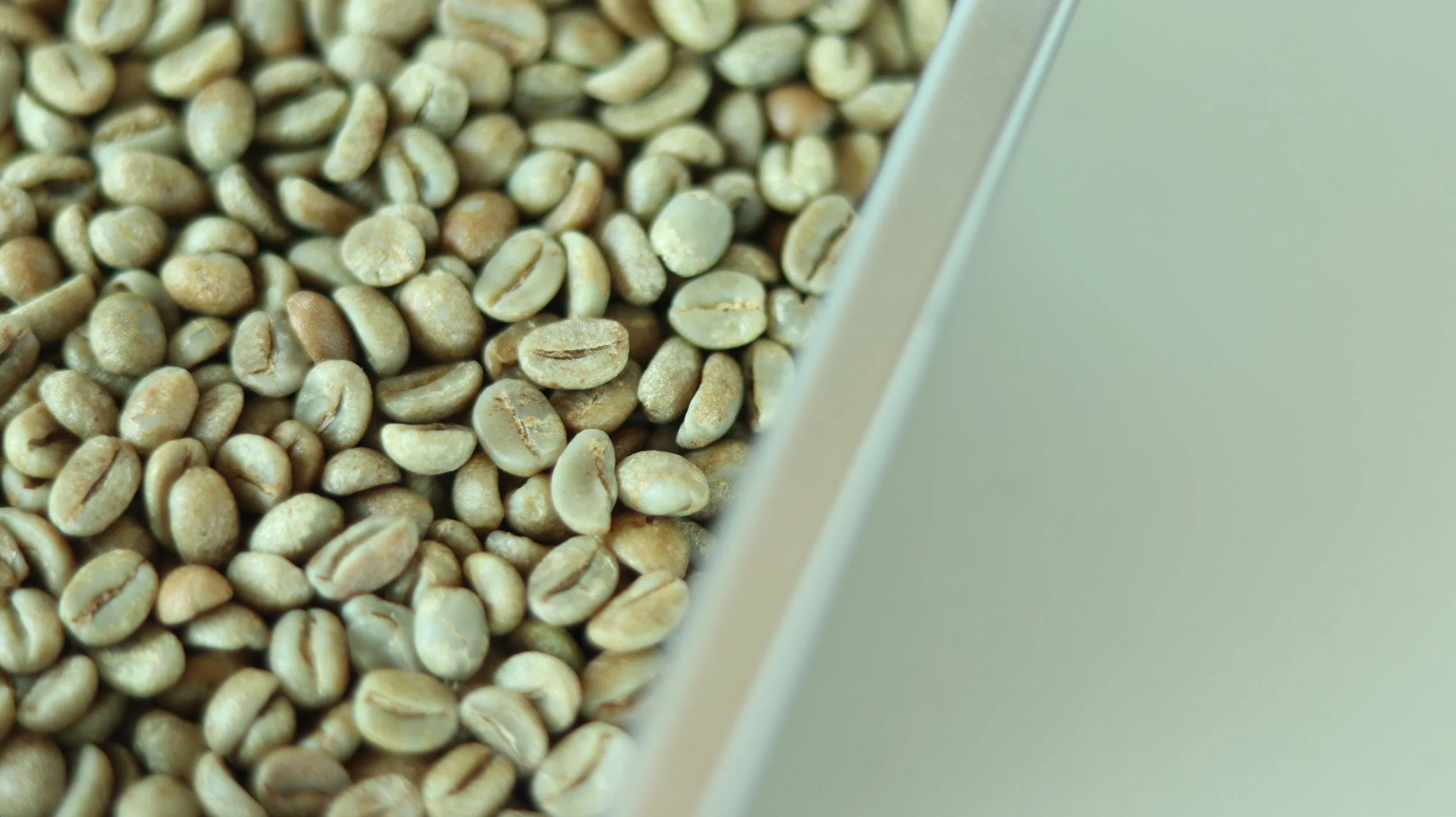 กาแฟปางขอน.JPG