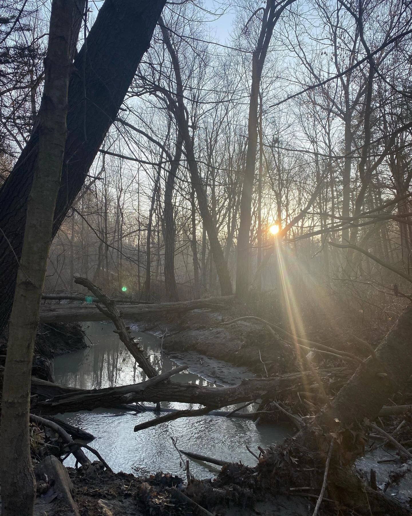 #ecotherapy #death #deathcare #palliativecare #grief #grieftherapy #griefsupport #livingwithloss #hamonttherapy #hamont #queeringgrief #ecologicalgrief #deathdoula