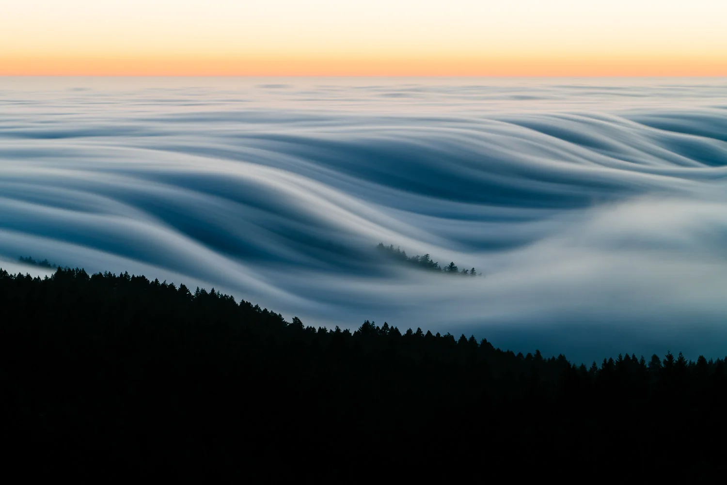 SashaZvereva-@sanfrancisco-photographs-5.jpg