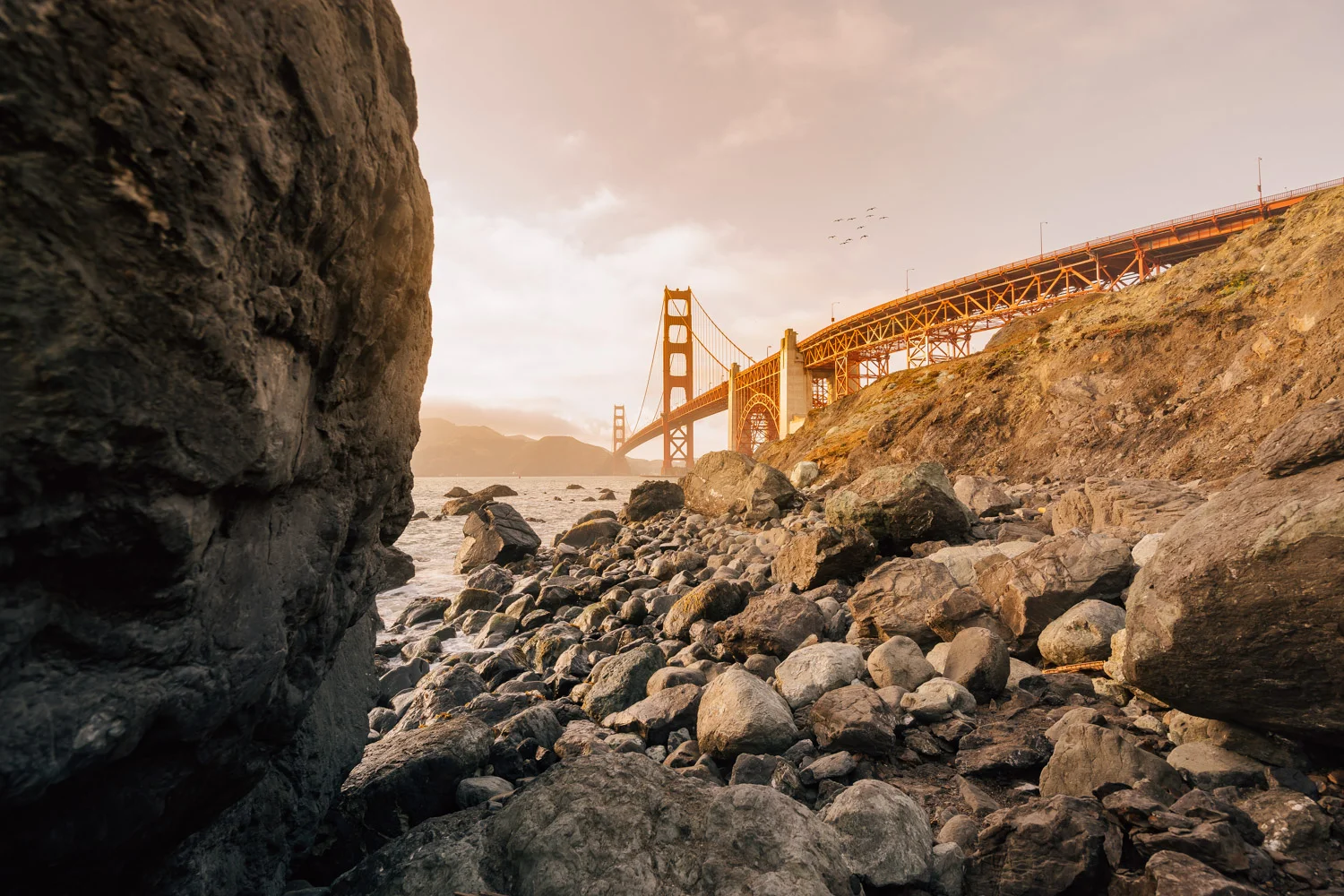 SashaZvereva-@sanfrancisco-photographs-23.jpg