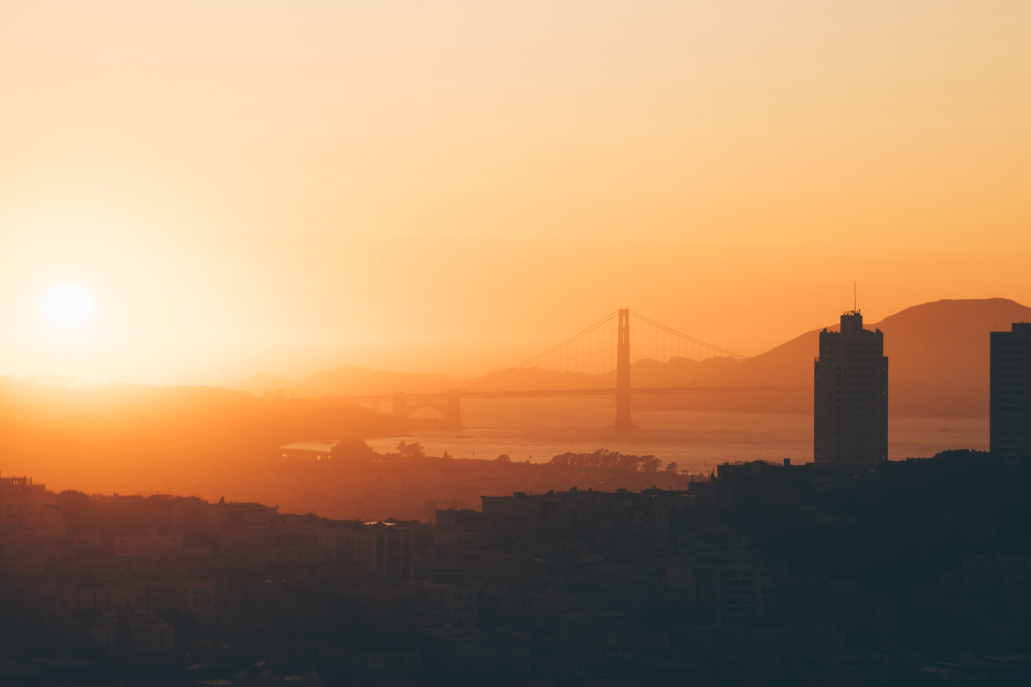 SashaZvereva-@sanfrancisco-photographs-46.jpg