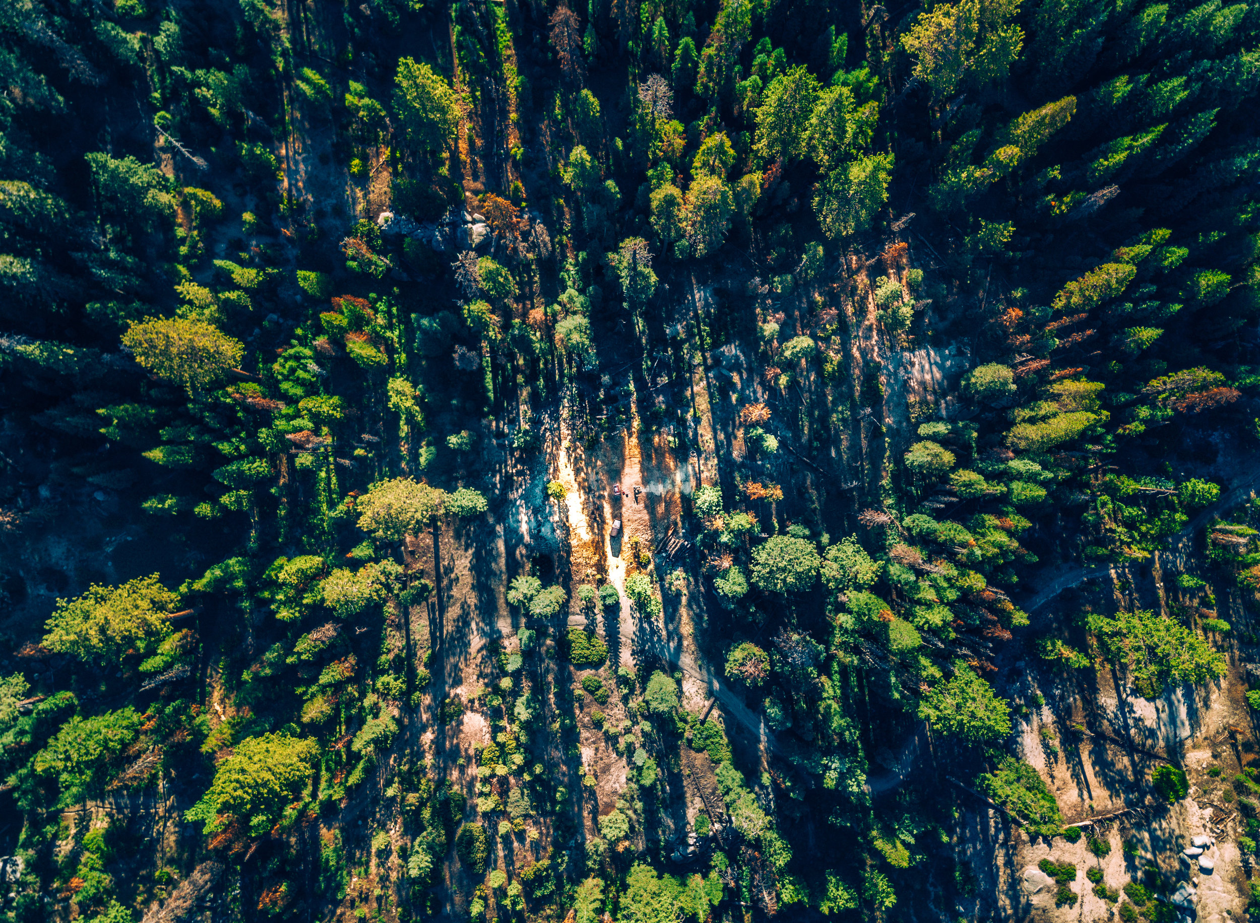 DJI_0045-6.jpg