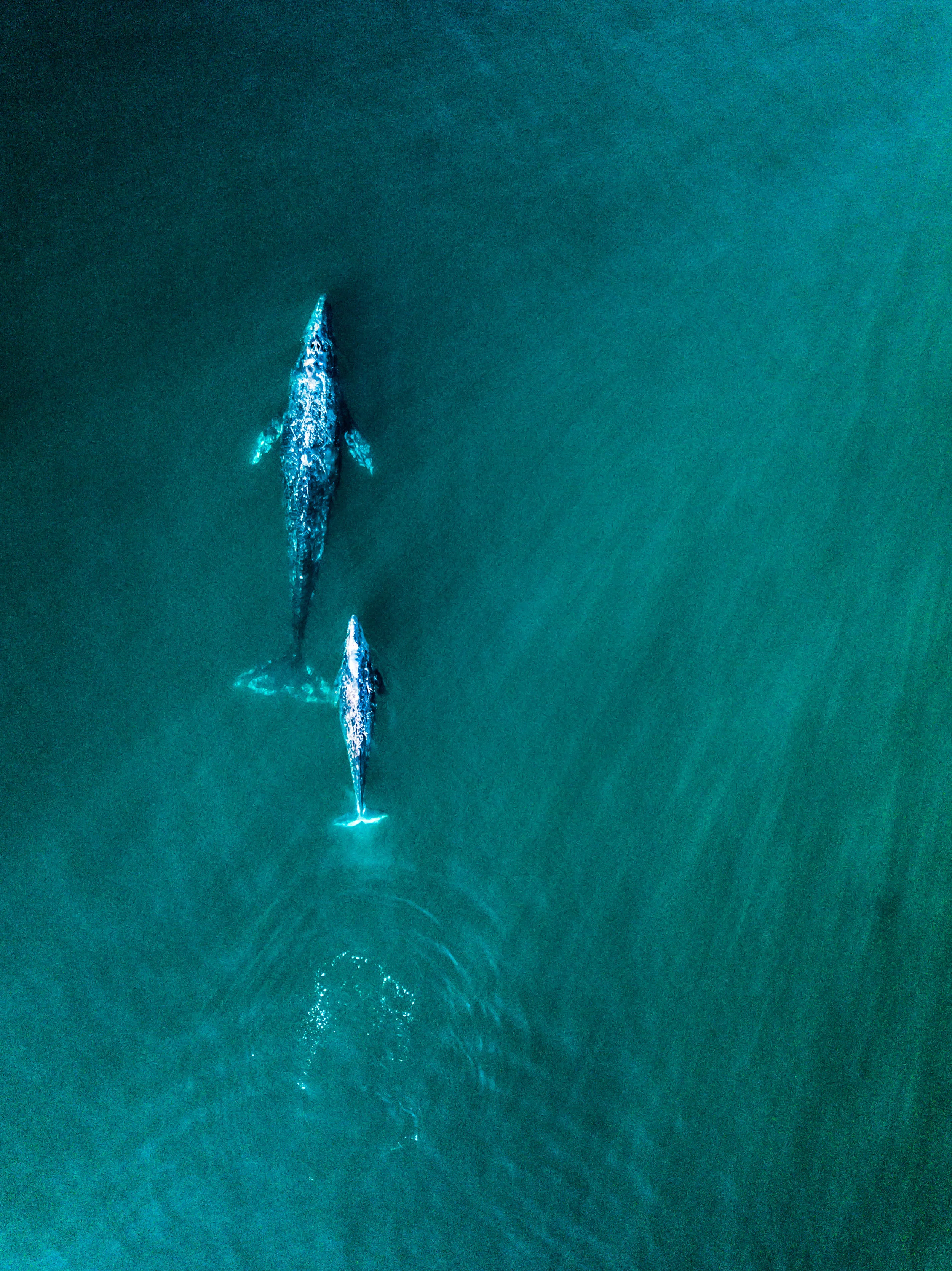 DJI_0484.jpg