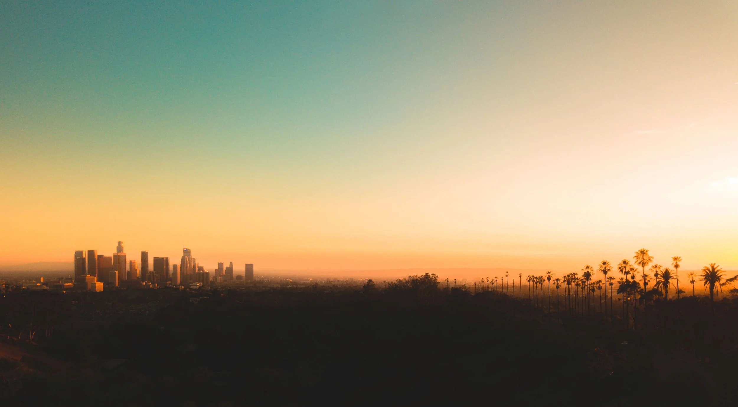 DJI_0171-3-2.JPG
