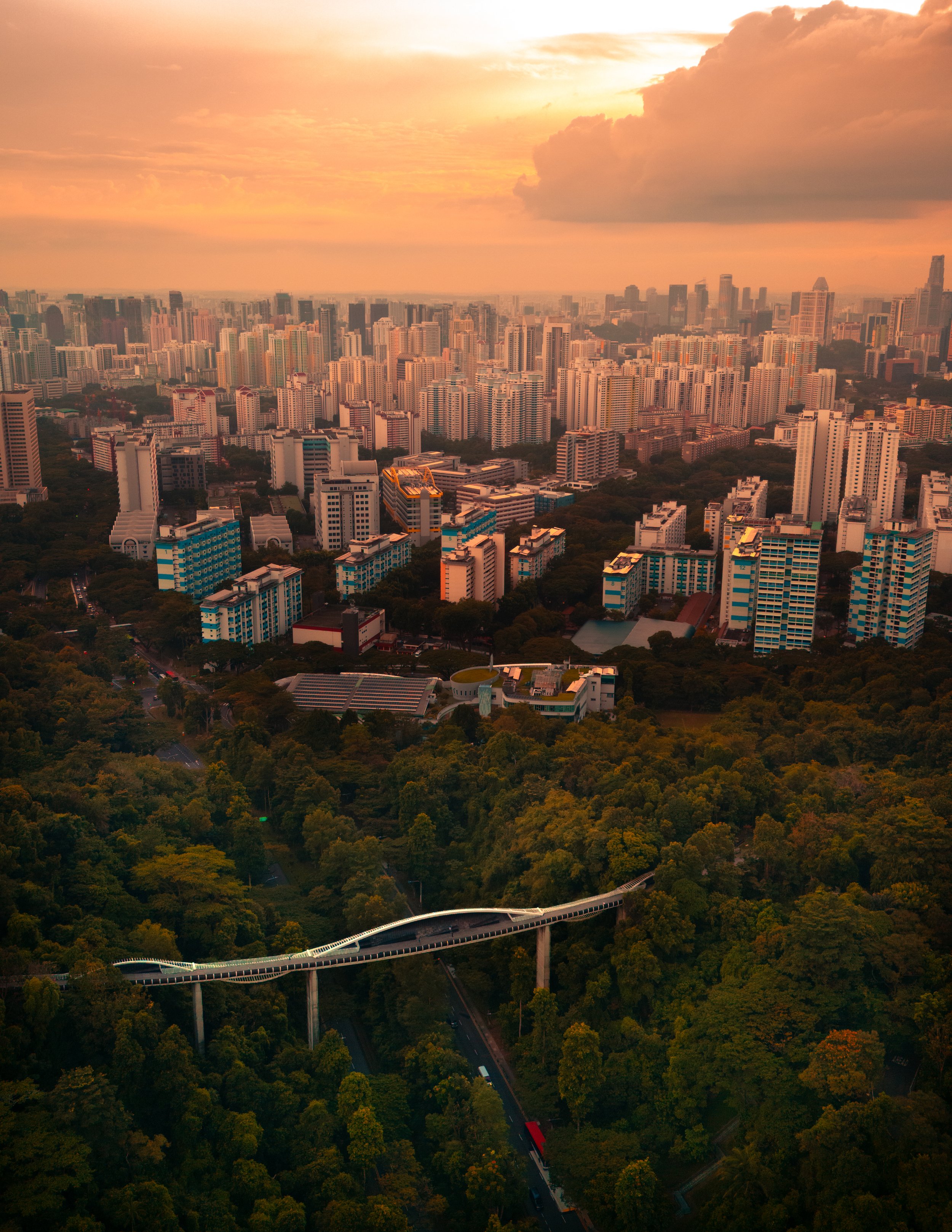 DJI_20240916163906_0159_D-2.jpg
