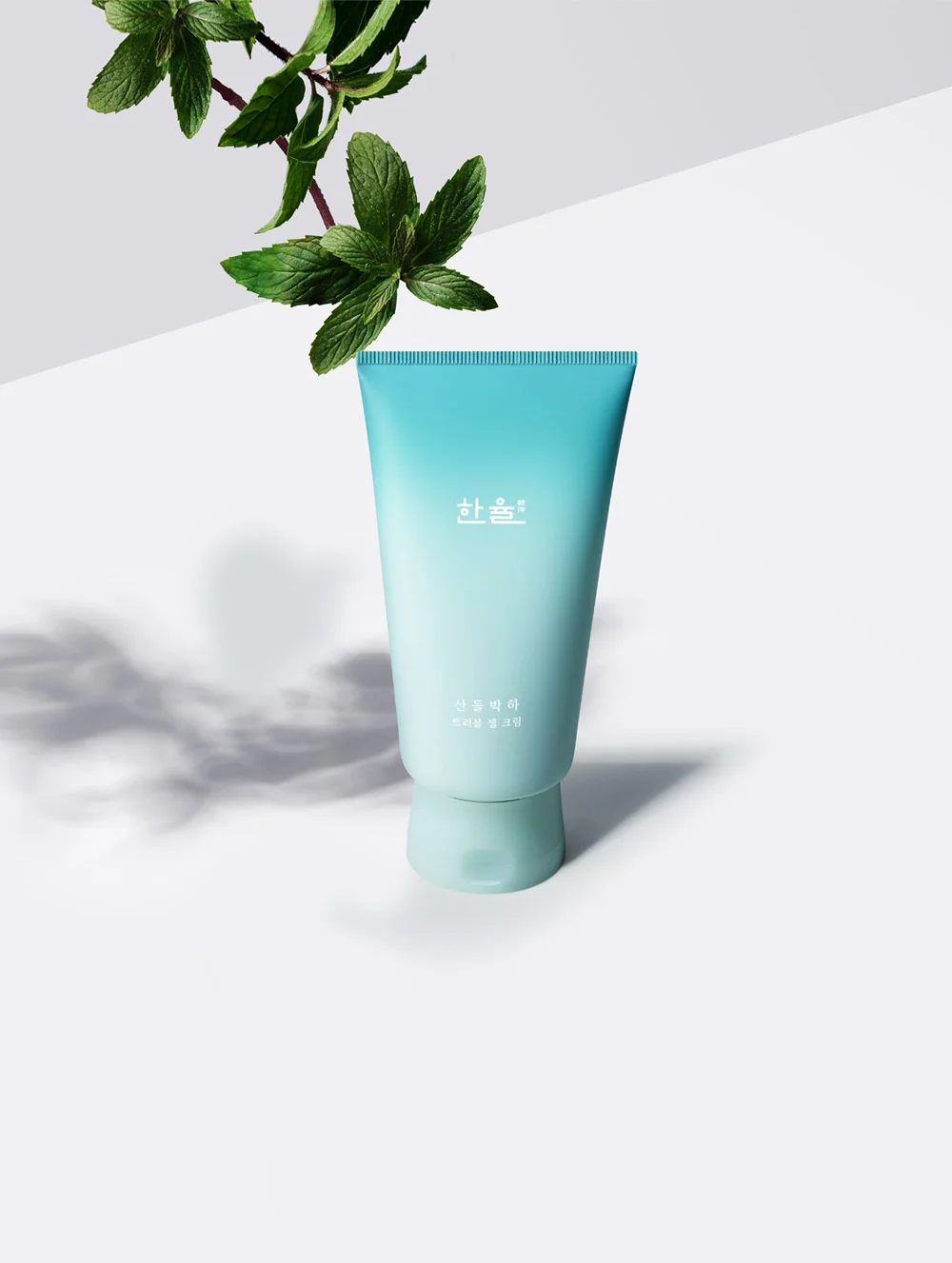 APDC_본문이미지_세로_low3.jpg