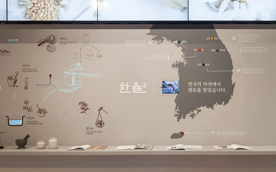 HANYUL_popup_04.jpg