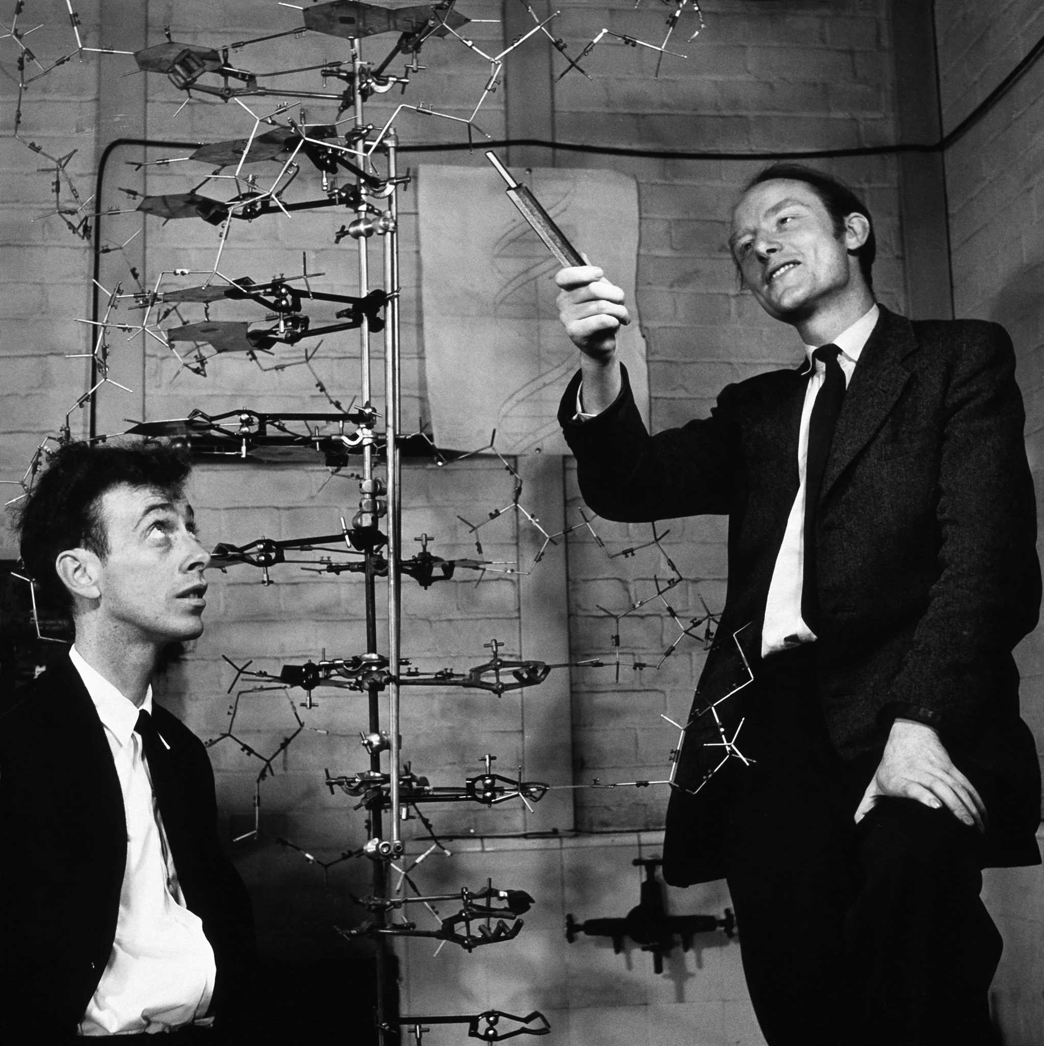 Watson-Crick-DNA-model.jpg