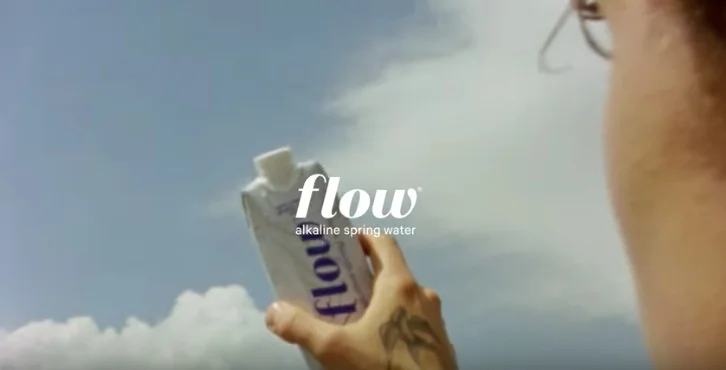 Shawn Mendes Partnership