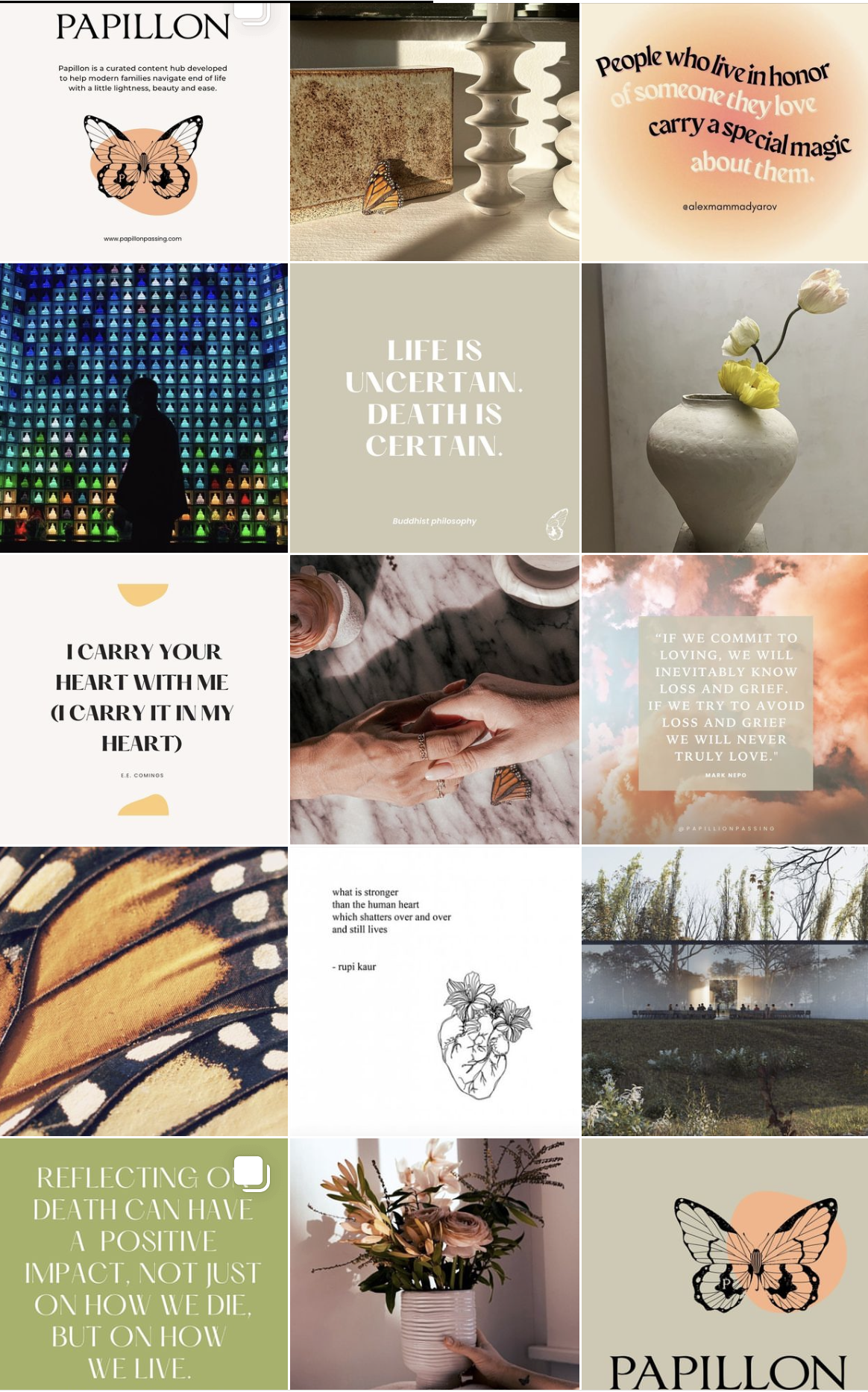 Offering positive ideas around life and death @papillonpassing