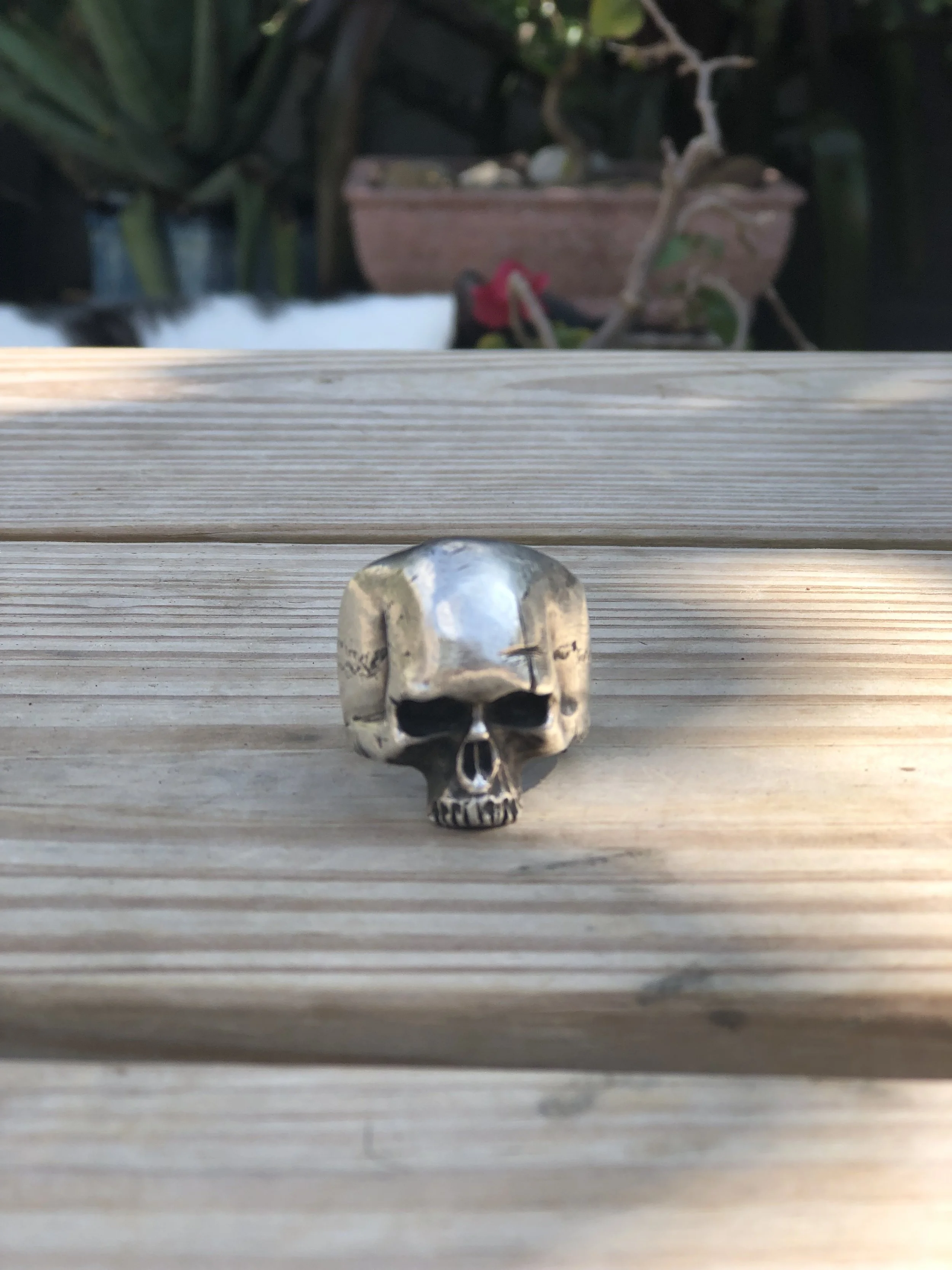 skull_ring_1.jpg