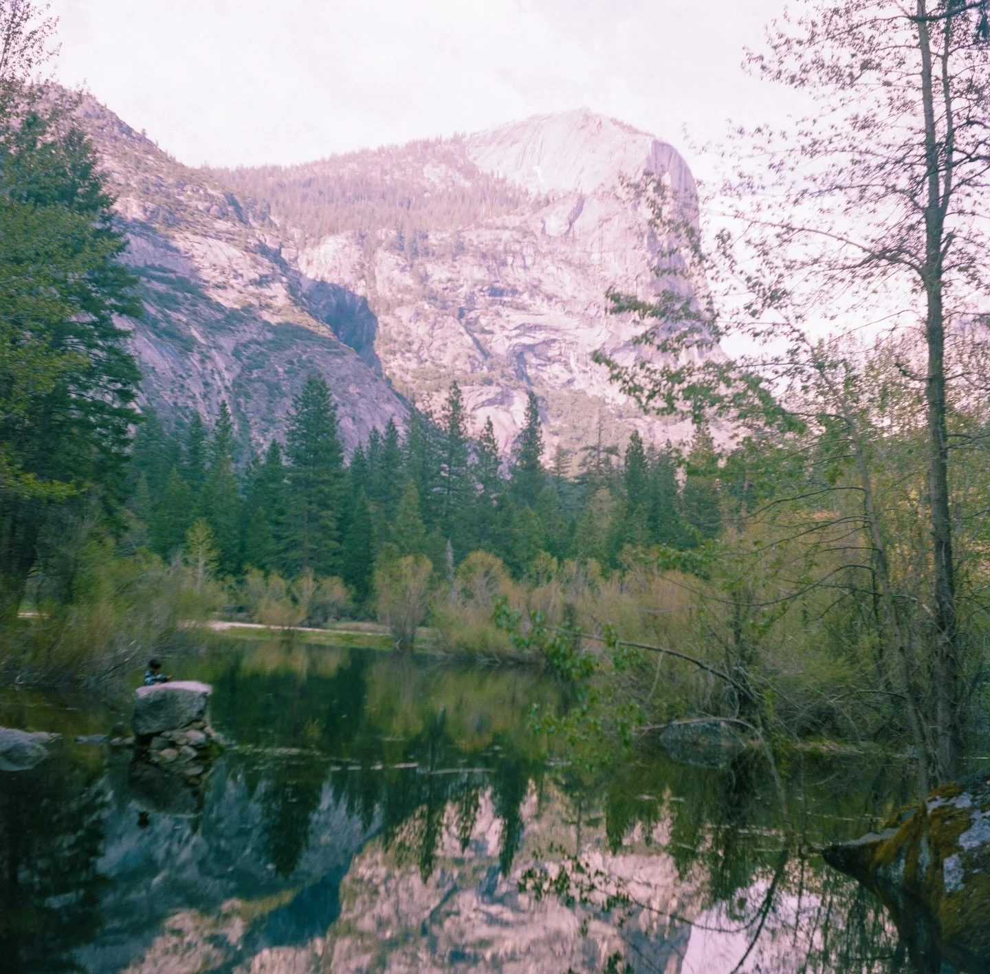 We&rsquo;ve had a roll of 120 sitting in our #DOOM drawer for God-knows how long. Got it developed this week. 
#TBT to our trip to #yosemite 15+ years ago. 
#twinlensreflex #vintagecameras