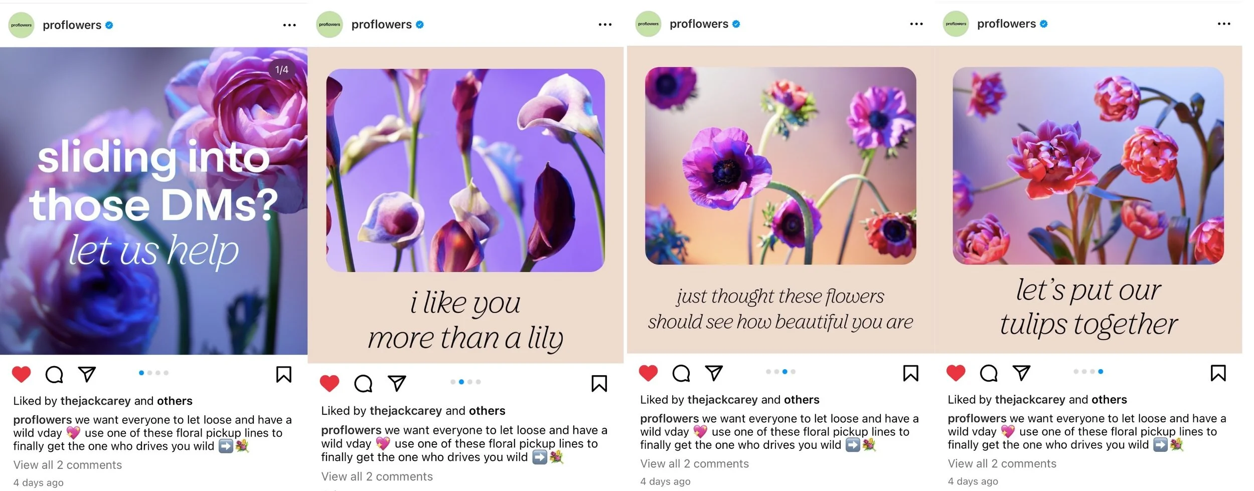 Screen Shot 2023-02-17 at 11.45.38 AM.jpeg