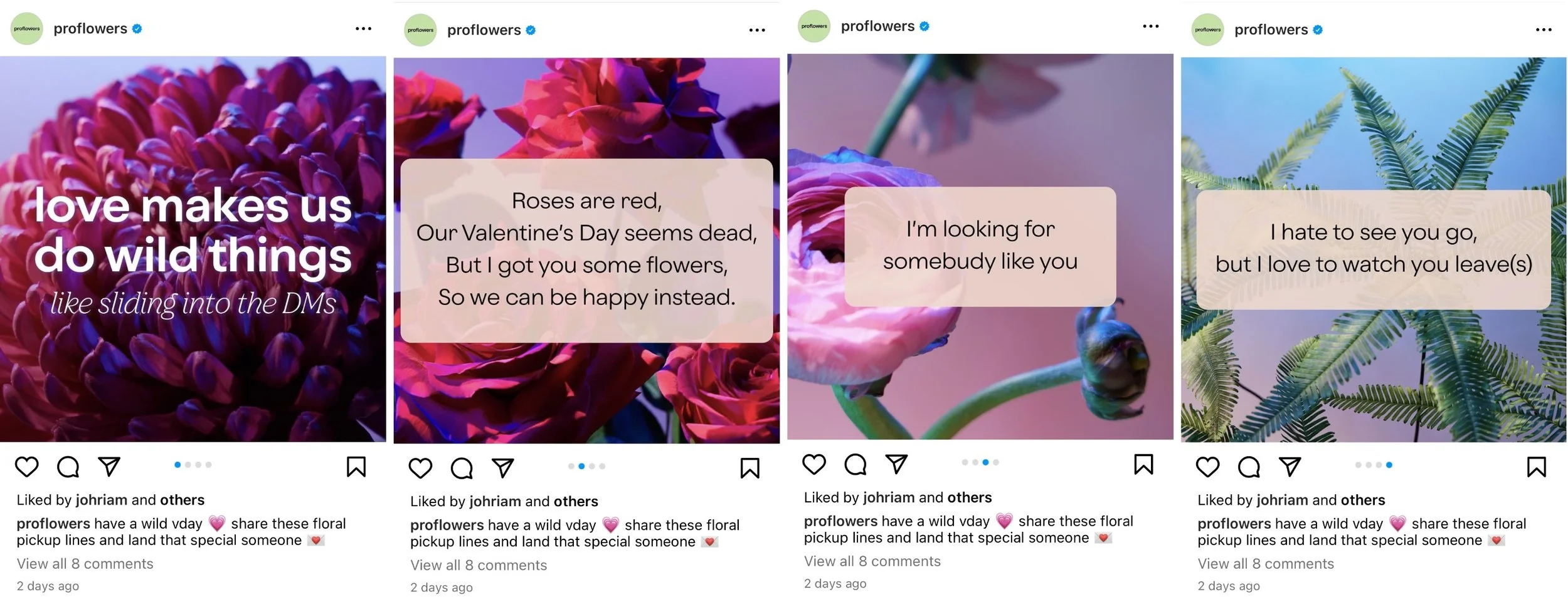 Screen Shot 2023-02-17 at 11.45.52 AM.jpeg