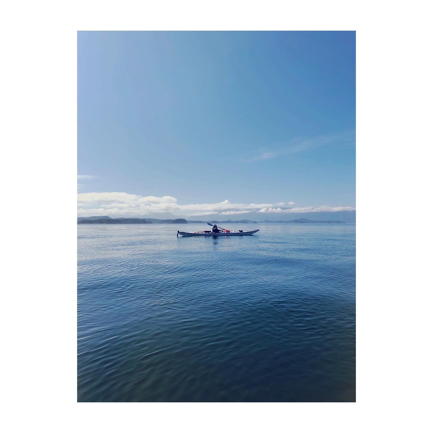 🐟This summer we paddled 8 days through the Broughton Archipelago. On day 3 we past open net pen fish farms strategically placed in the most nutrient dense locations in the archipelago. On day 6 we were visited by a pod of orcas who rely on the wild 