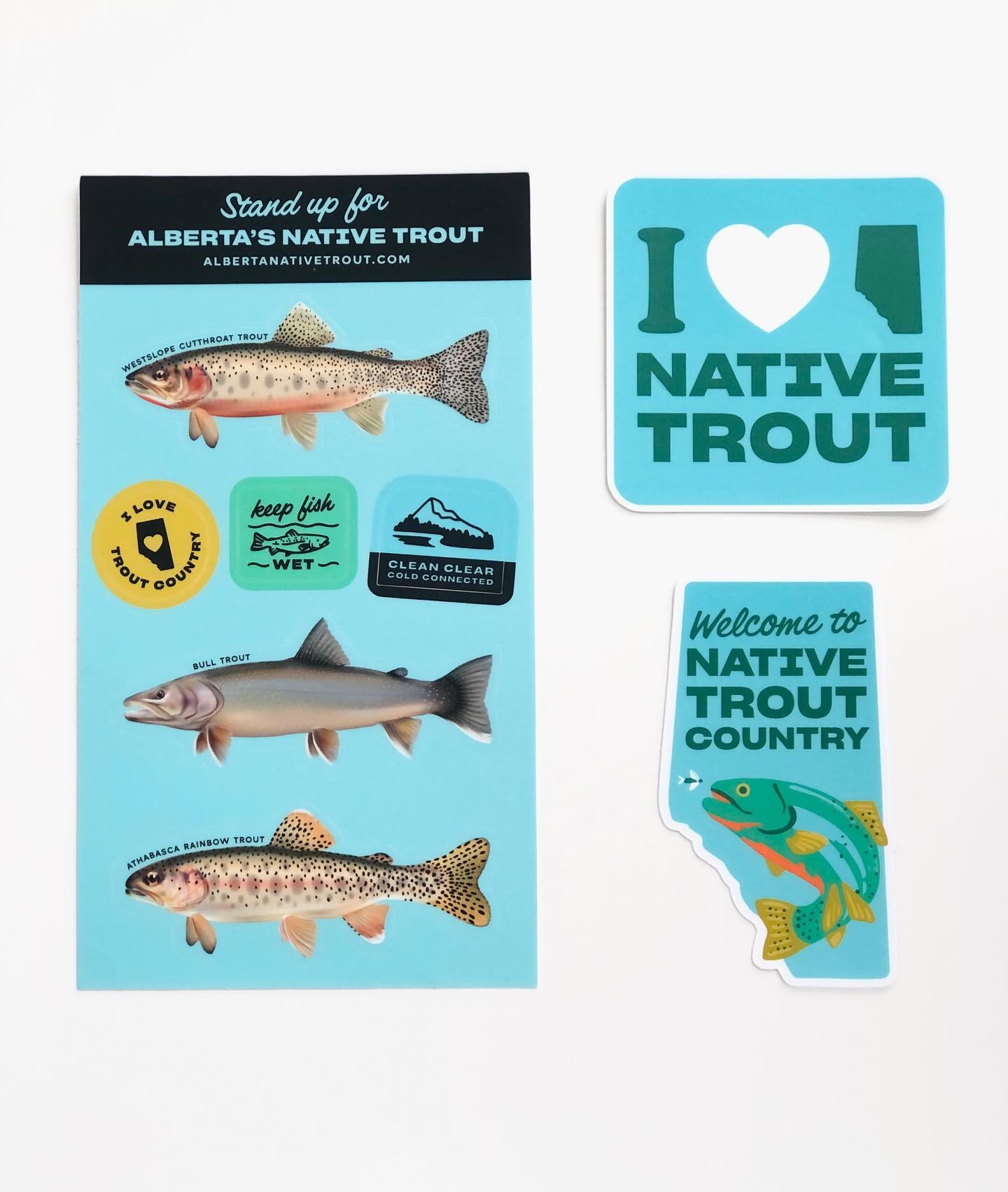 Made some fun stickers for Alberta&rsquo;s Native Trout Collaborative! When angling make sure you&rsquo;re aware of these threatened trout species by putting these easy identification stickers on your tackle box or water bottle. Learn how to take car