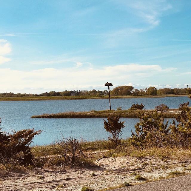 Beautiful sunny skies from a socially distanced drive through Orient Beach State Park with our little one. 
#OBB #OuterBoroBroad #weekend #drive #sociallydistanced #orient #orientstatepark