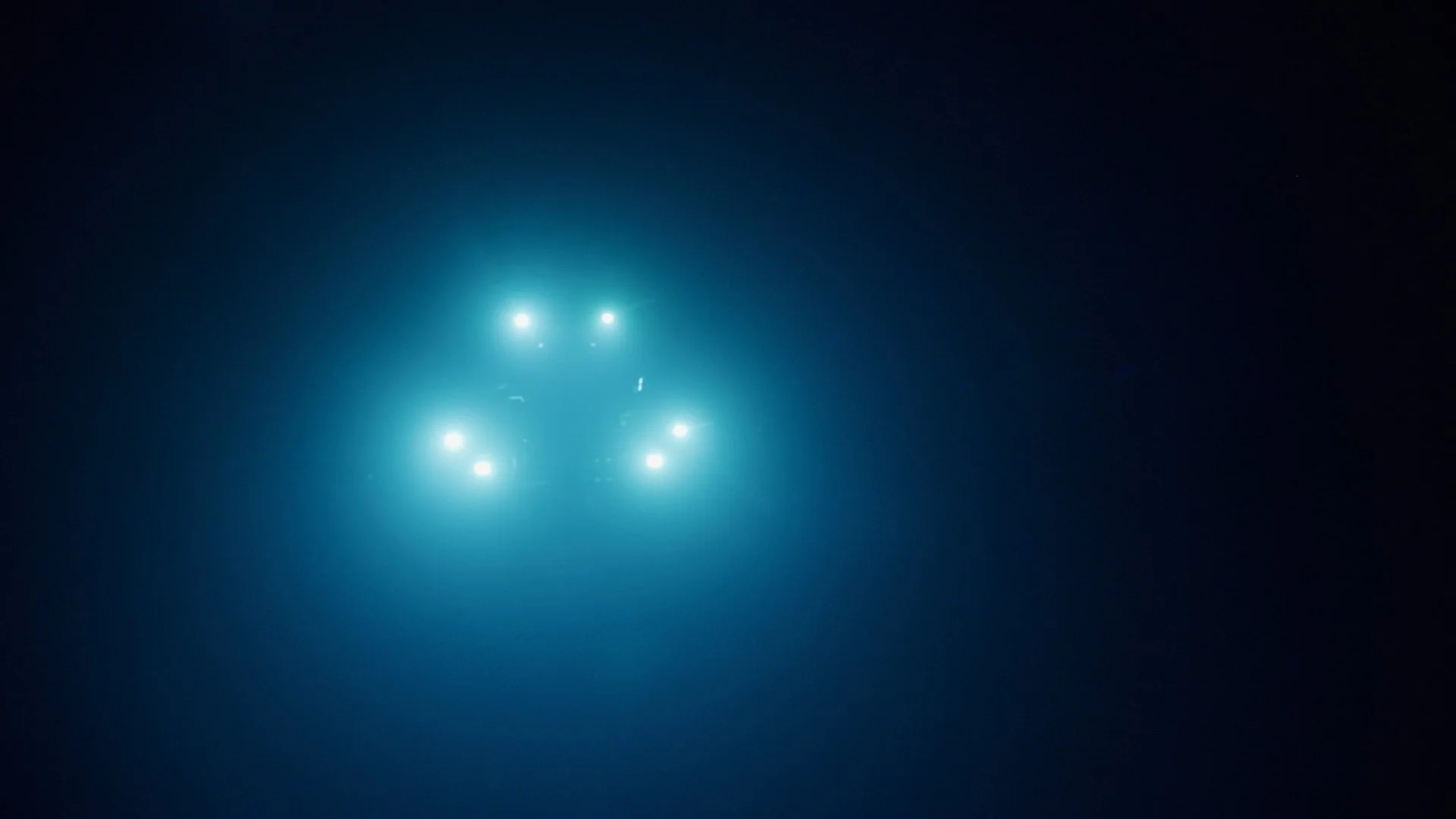 First Life / Director's Cut