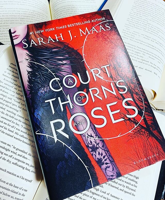 I have so many conflicted feelings about this book/series. But the cover is beautiful! And I will finish it!

#bookstagram #bibliophile #books #bookphoto #igbook #igreader #fantasyfriday #fantasybooks #acotar #readmore #prettybooks #redbook