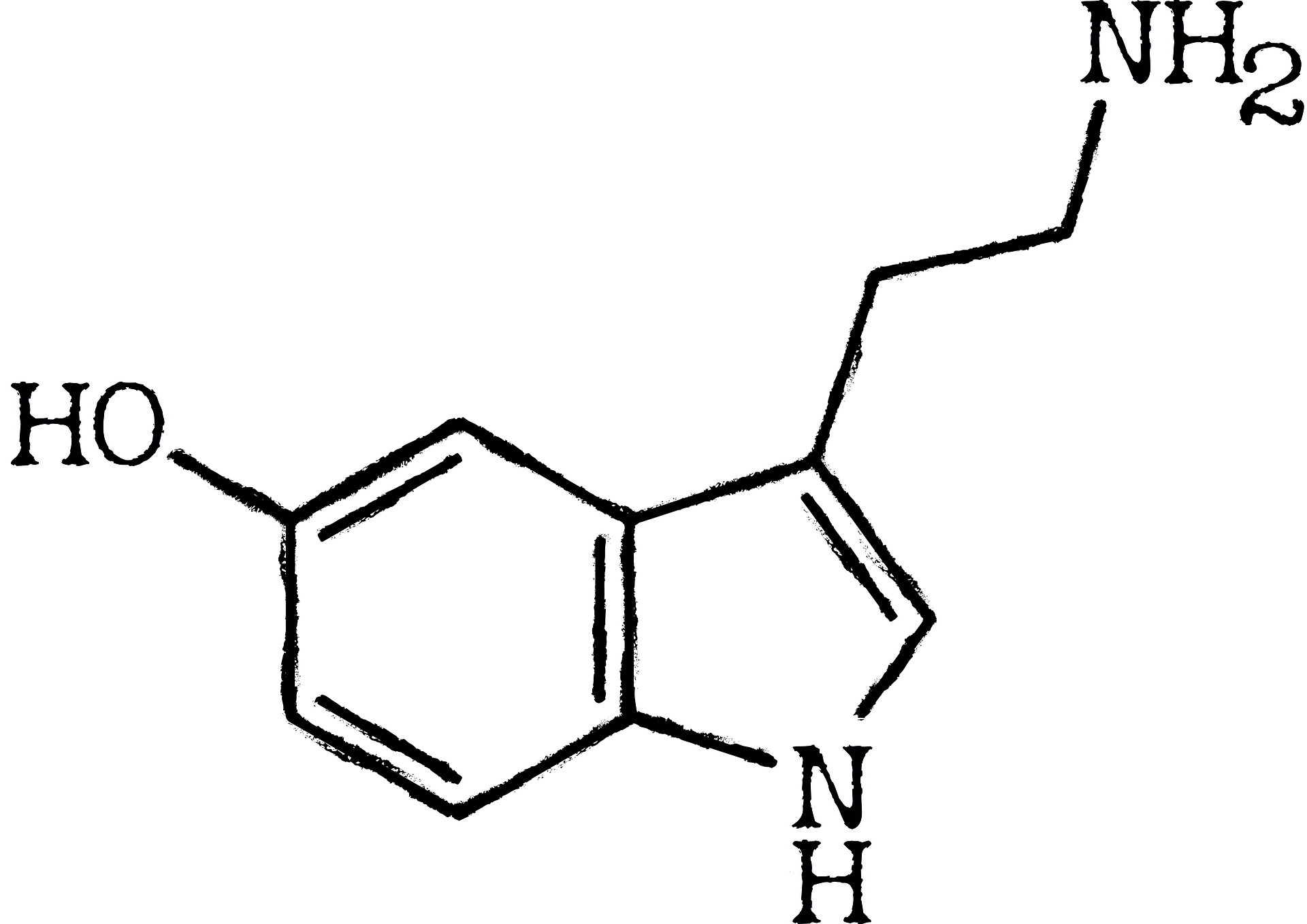 A serotonin molecule