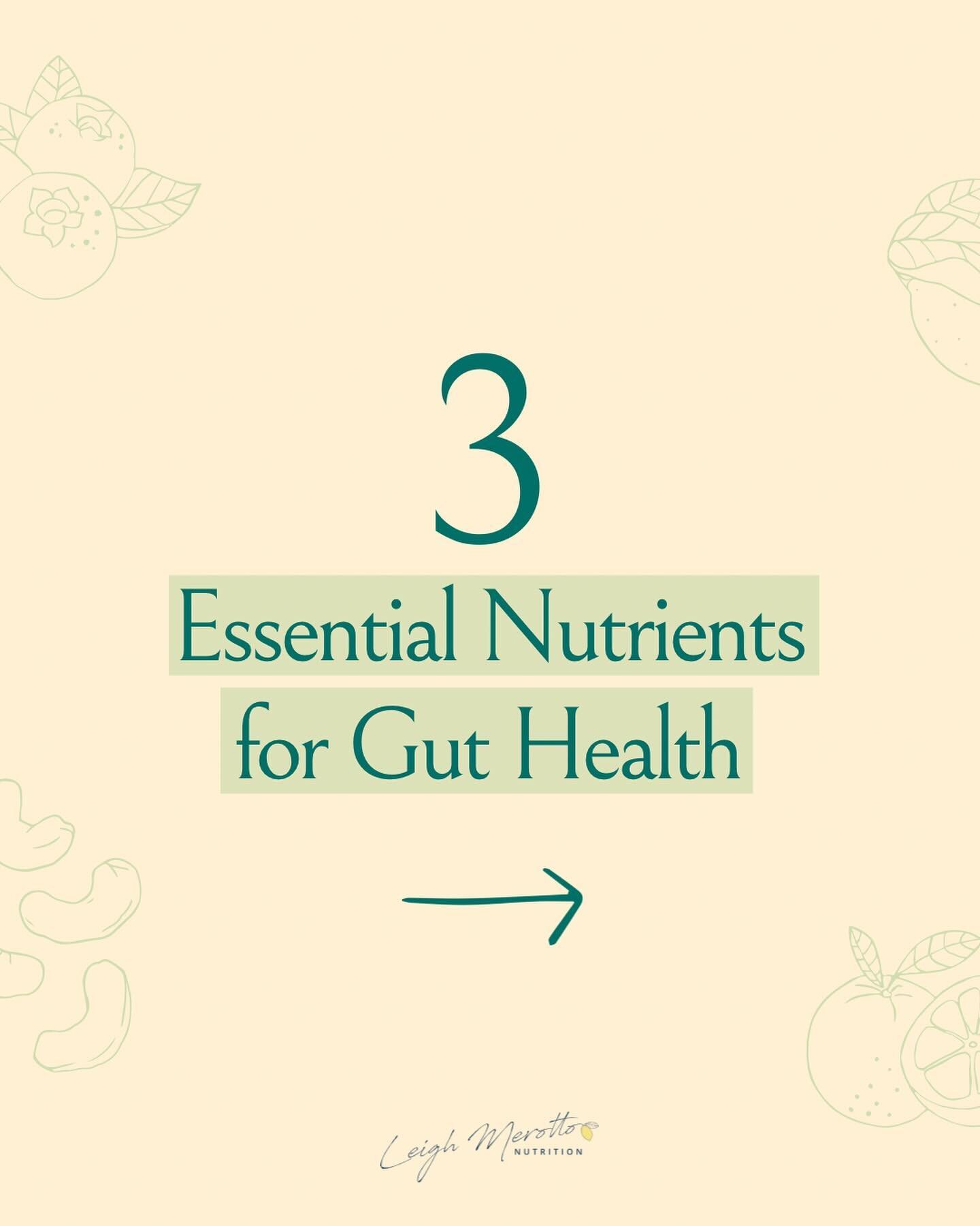 I talk a lot about holistic strategies to support your gut health, but I do agree hands down that your diet plays the primary role in the health of your gut and microbiome.👇

We need to consume nutrients in adequate amounts in order to support a hea