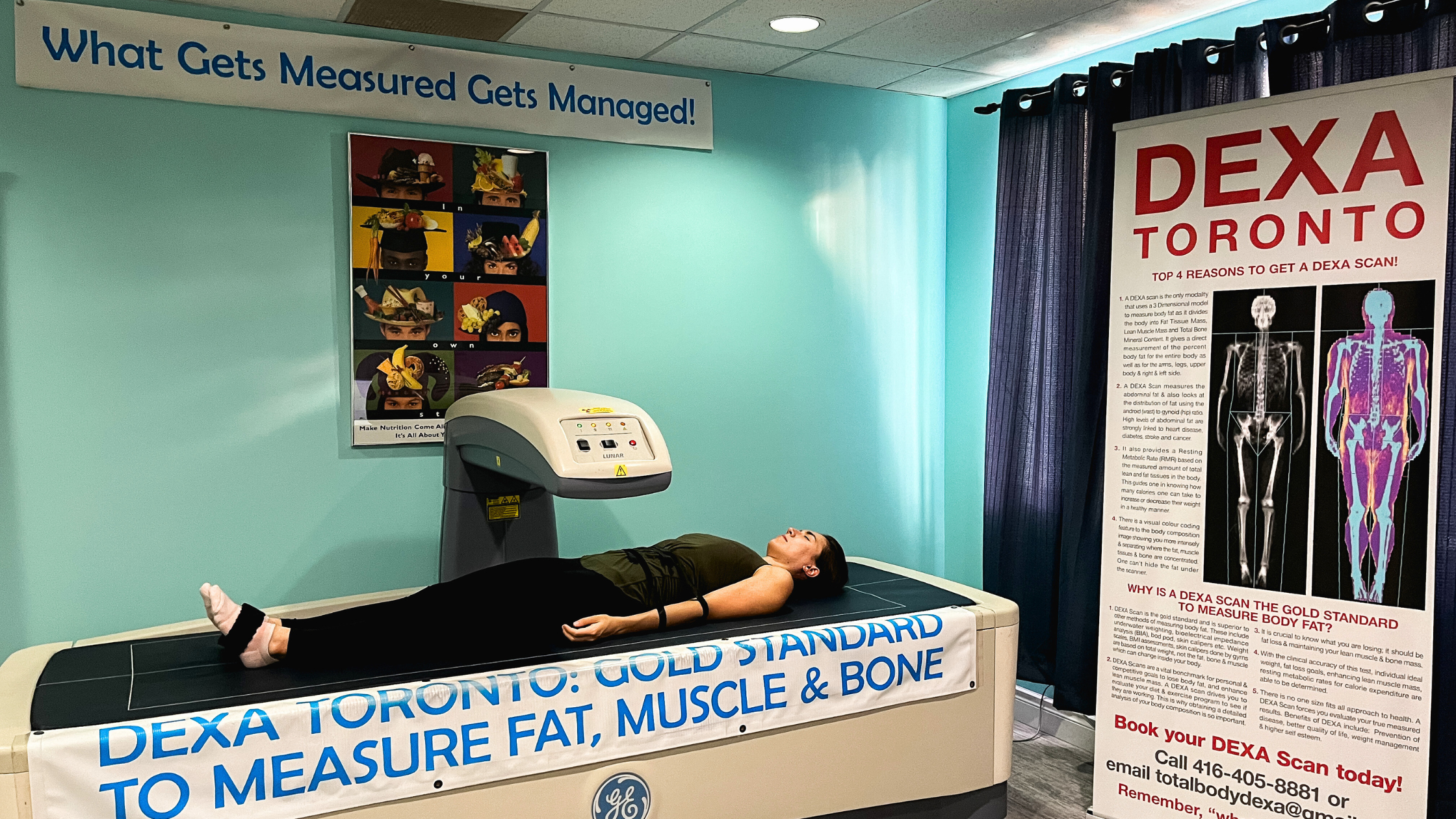 DEXA Scans: How the Results Provide a Powerful Insight to Your Health ...