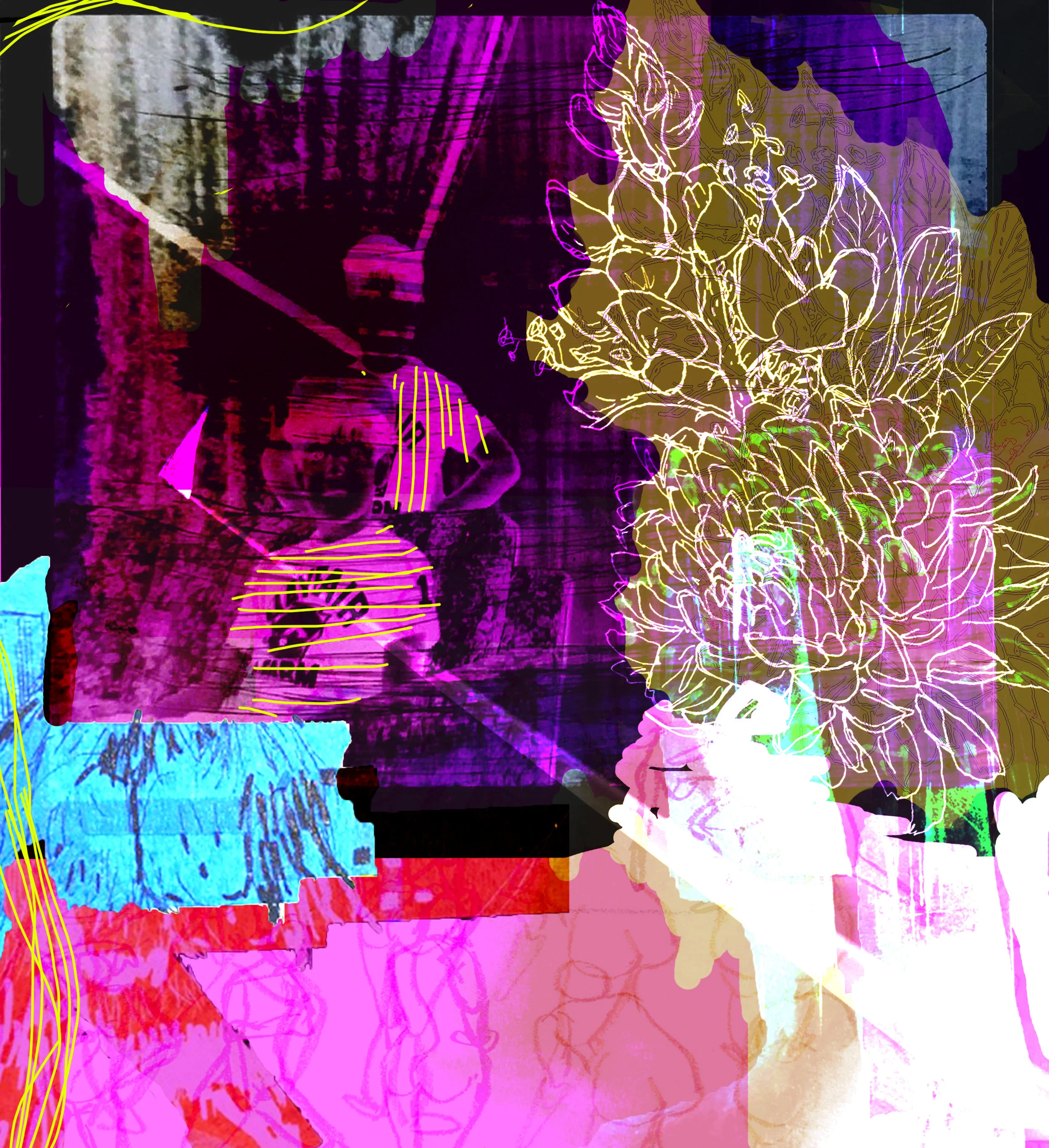 collage 2 version 2 .jpg