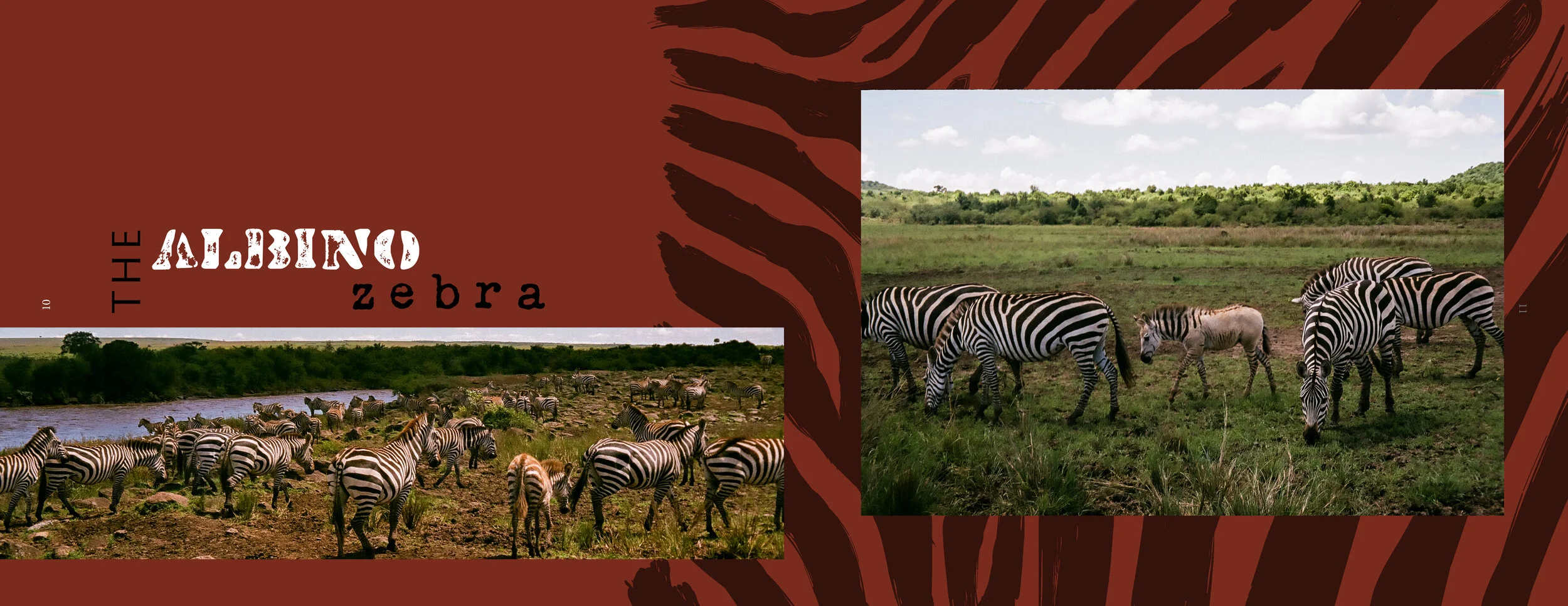 africa 2 rgb6.jpg