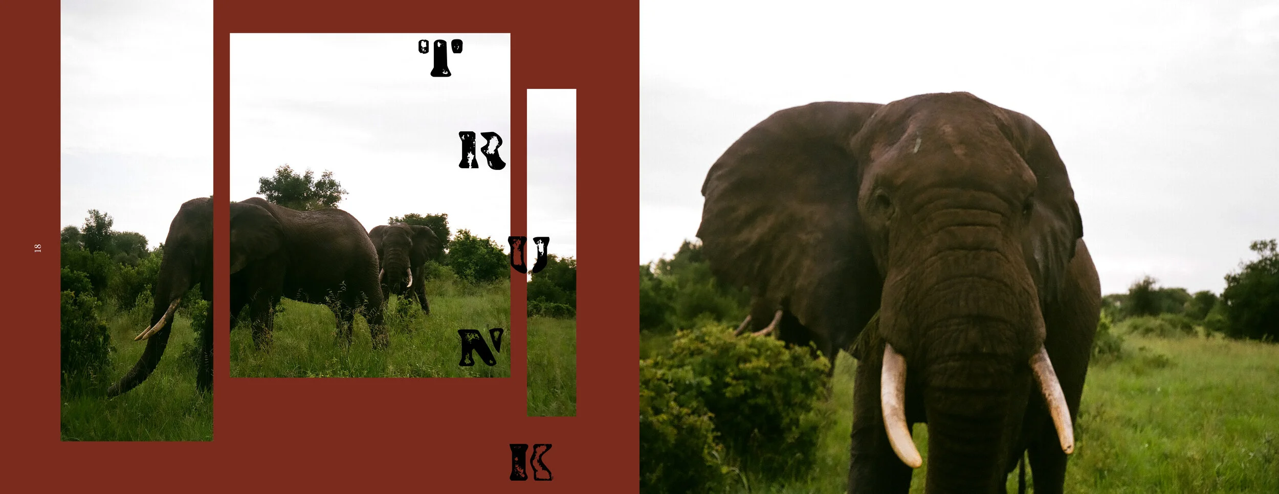 africa 2 rgb10.jpg