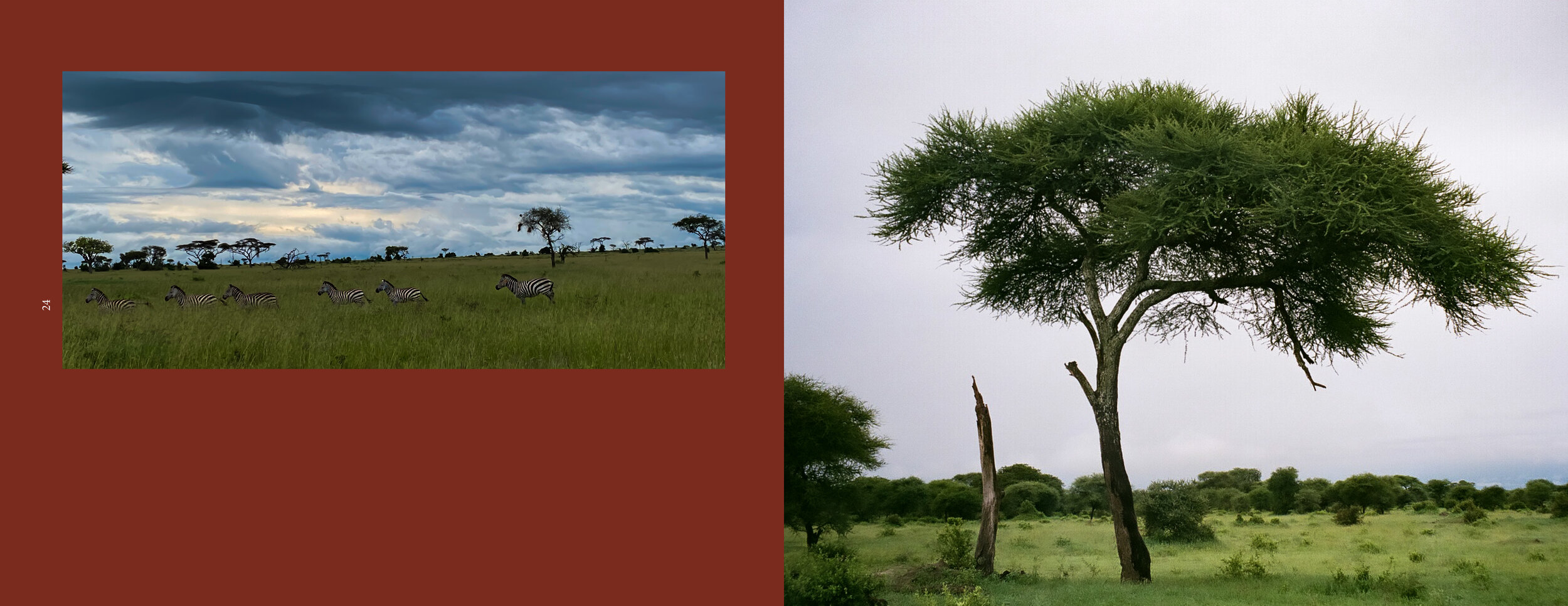 africa 2 rgb13.jpg