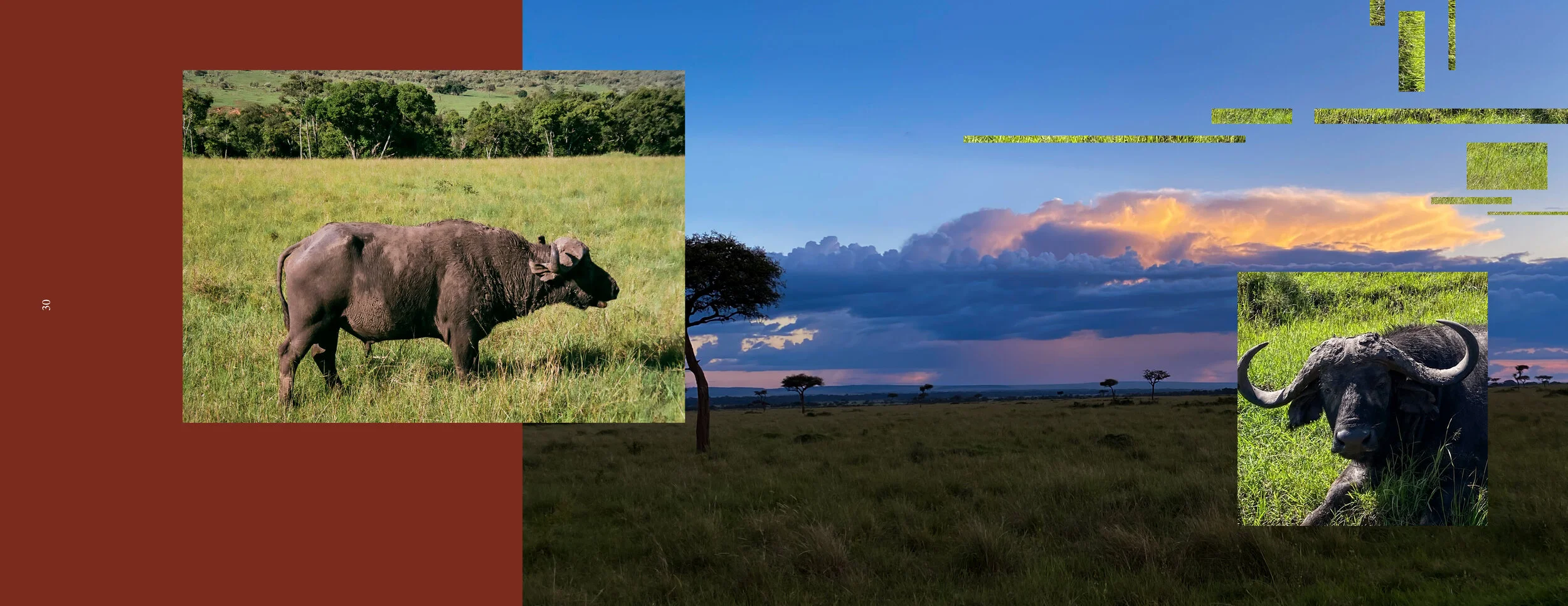 africa 2 rgb16.jpg