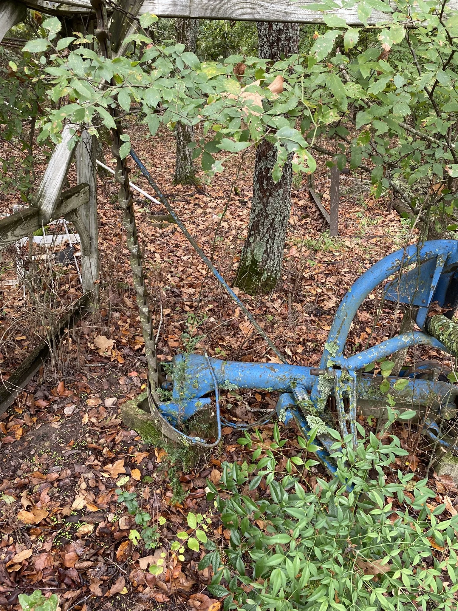 IMG_2673.JPEG