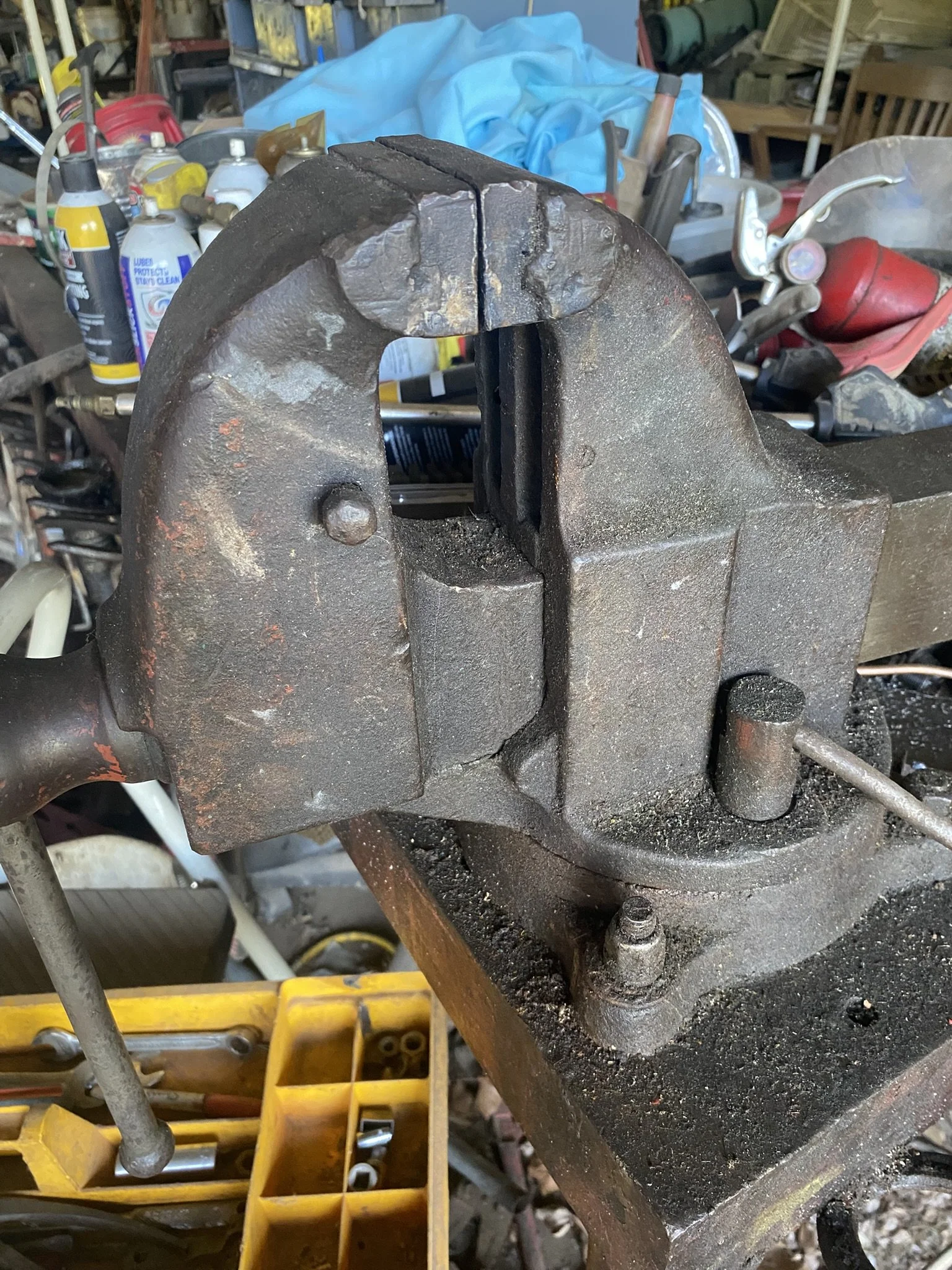 IMG_4816.JPEG