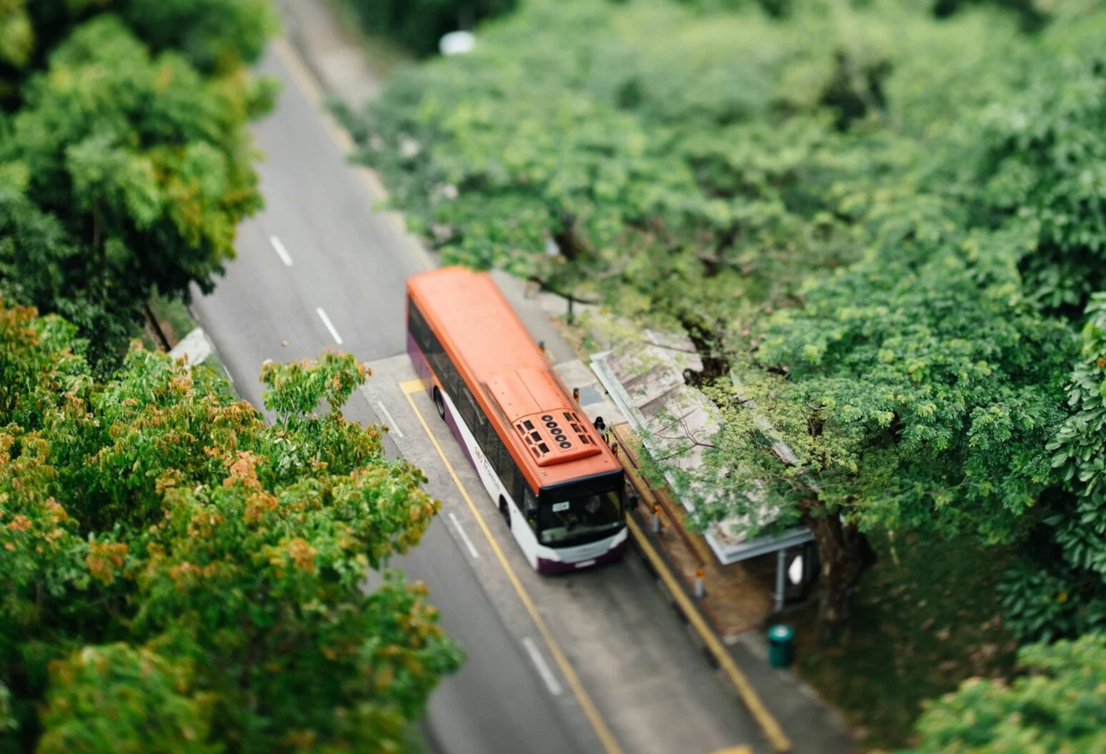 THIS IS YOUR JOURNEY 