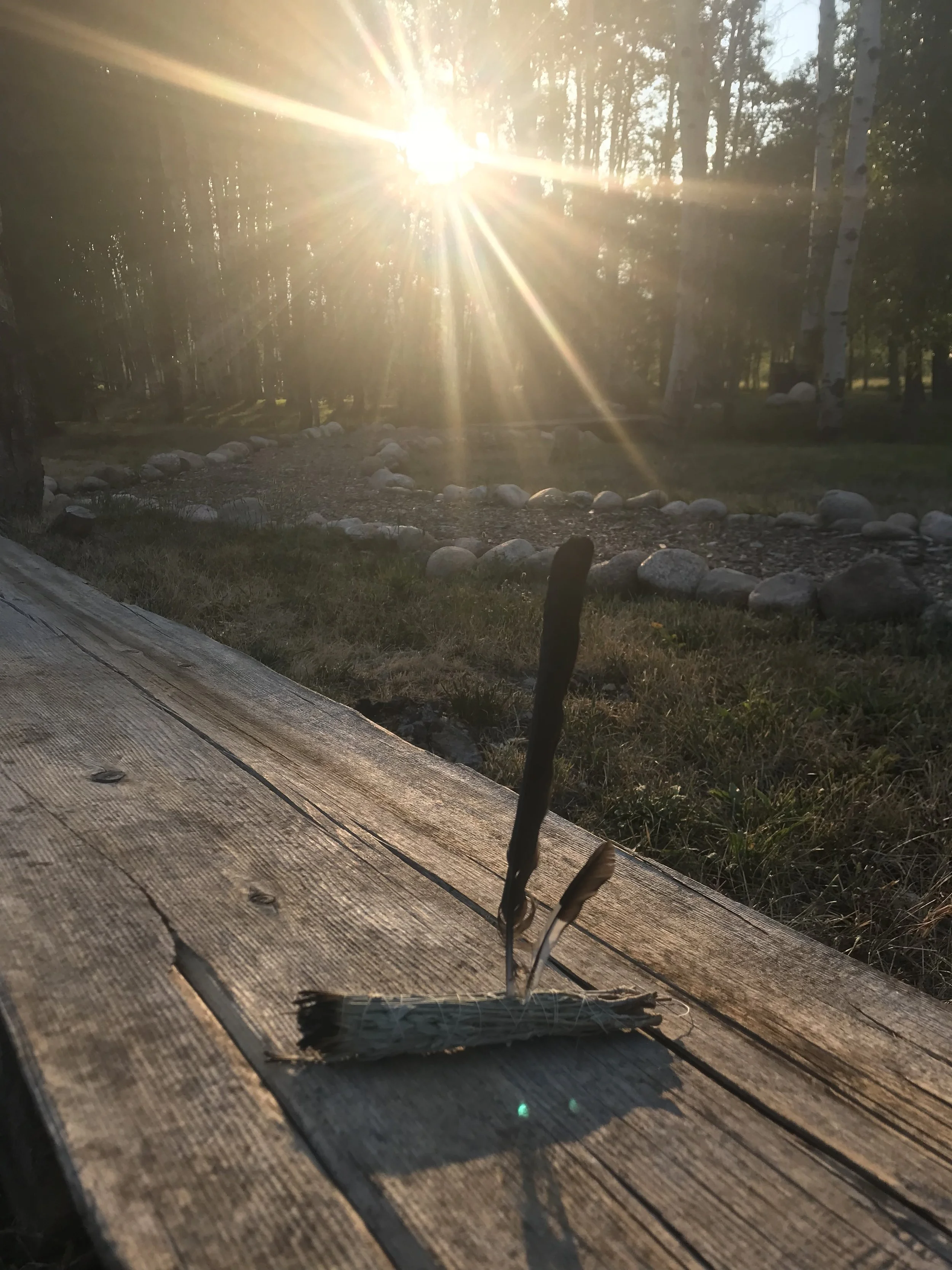 2018-08-15 07.26.58.jpg