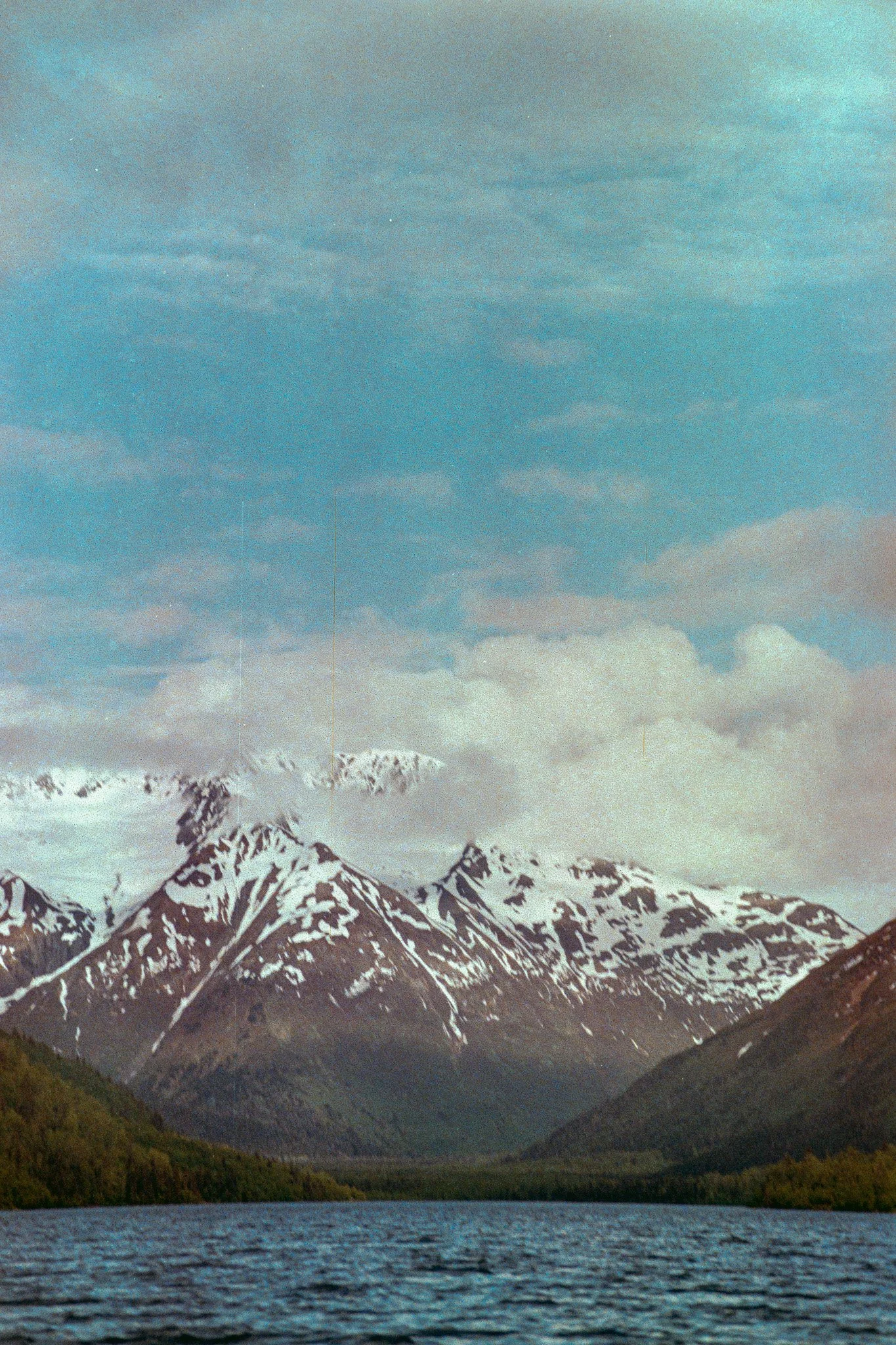 0980_02.jpg