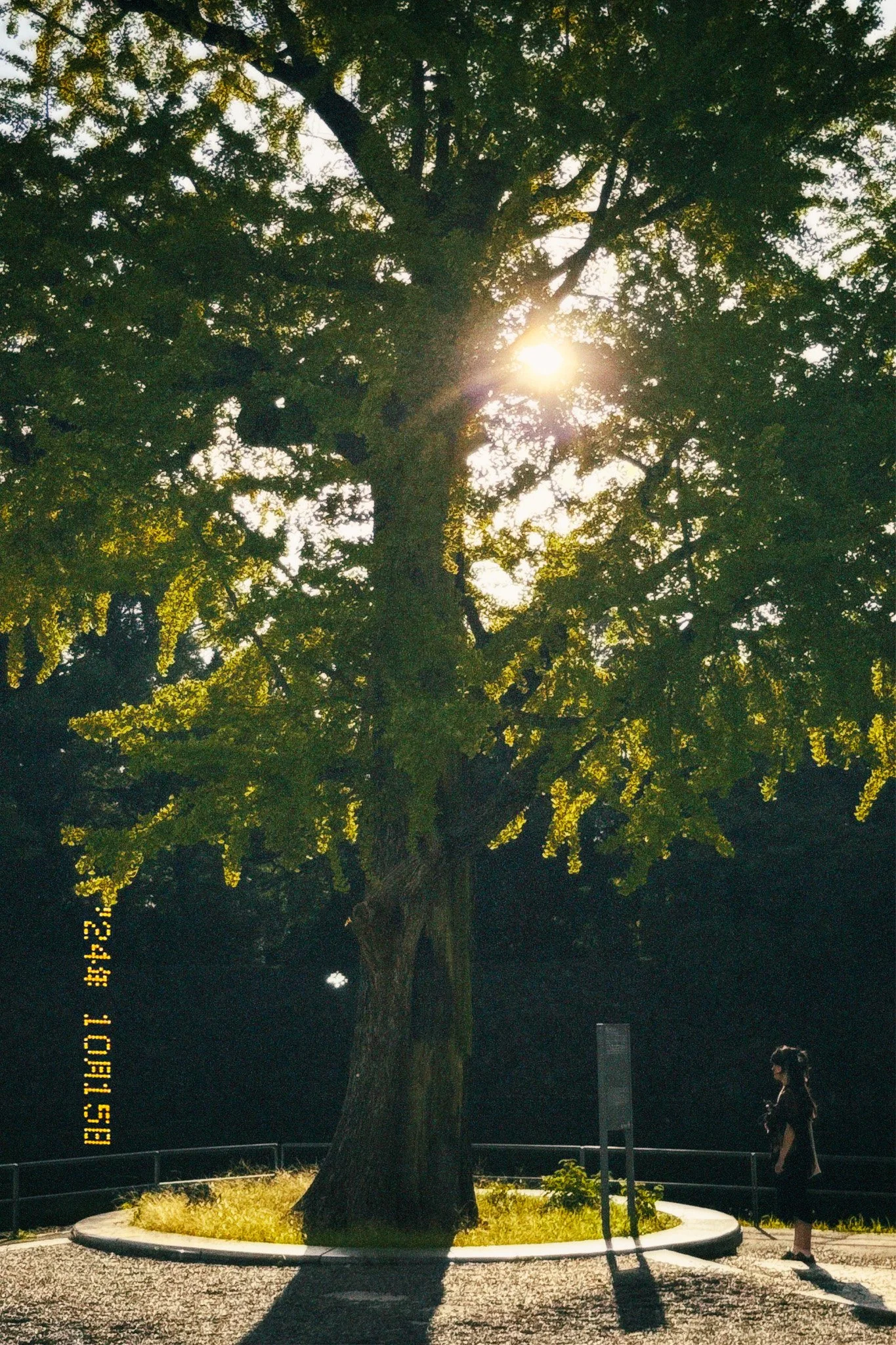 IMG_0456.jpg