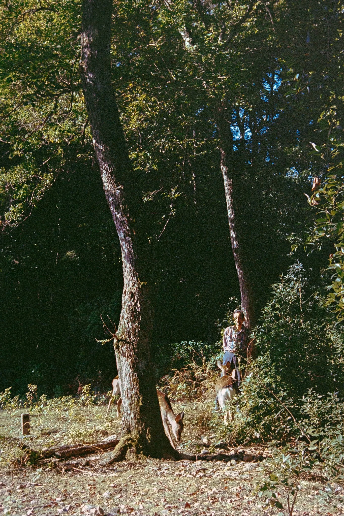 2609_15.jpg