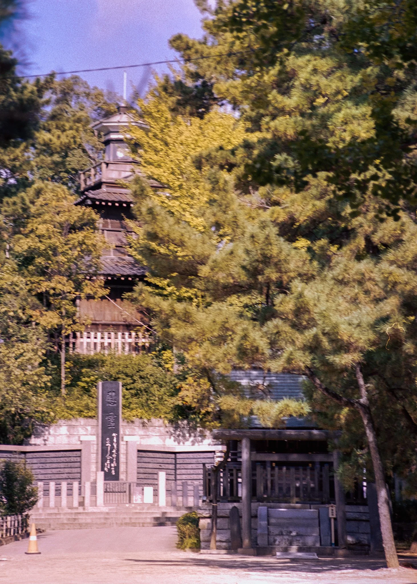 2609_28.jpg