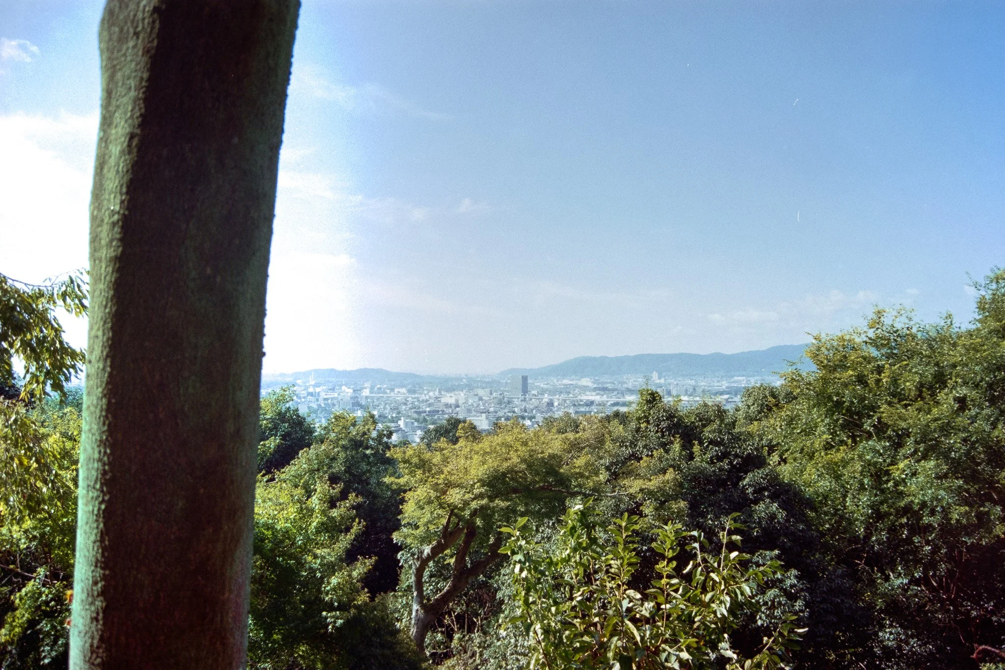 2608_05.jpg