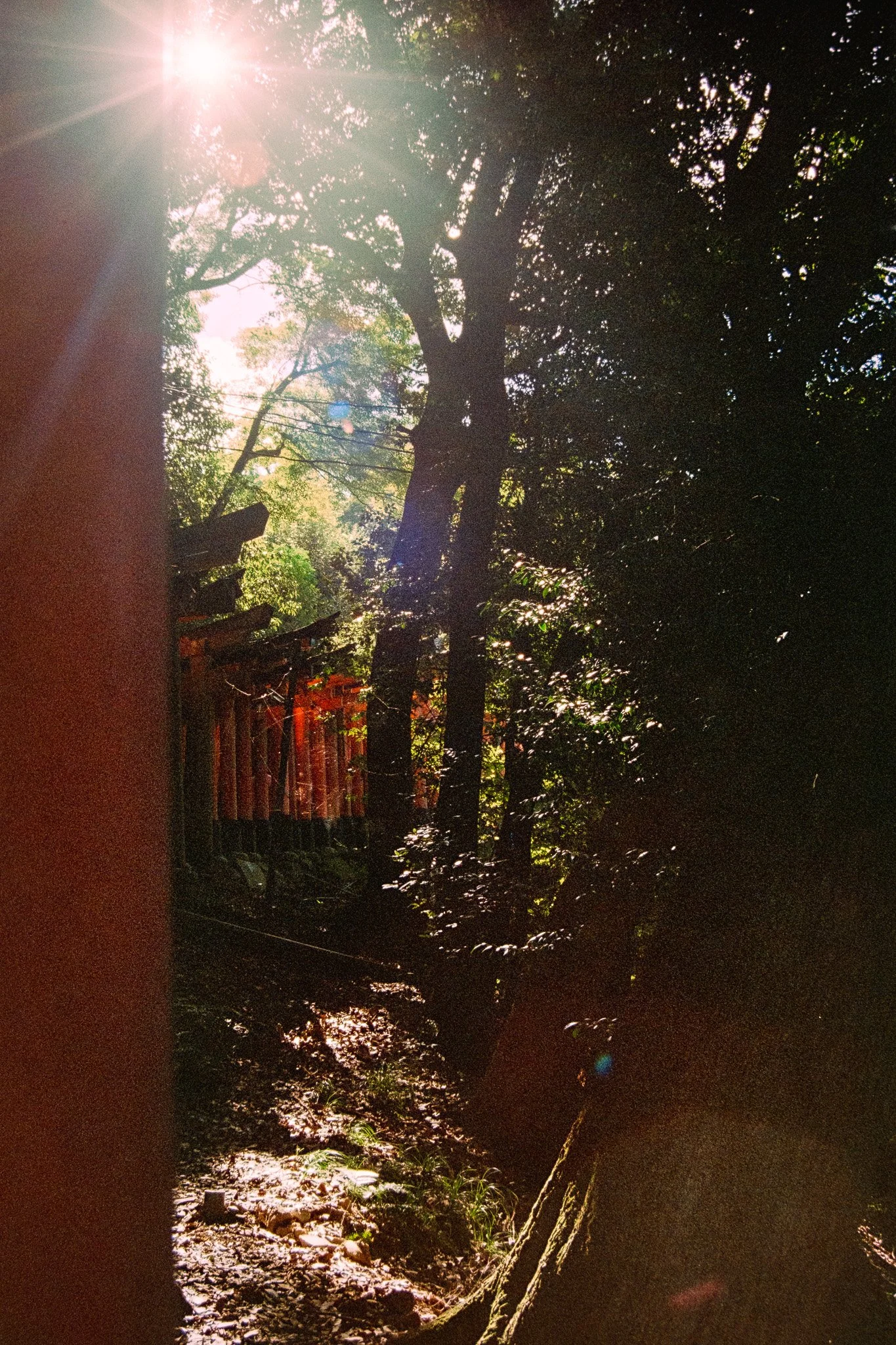 2608_06.jpg
