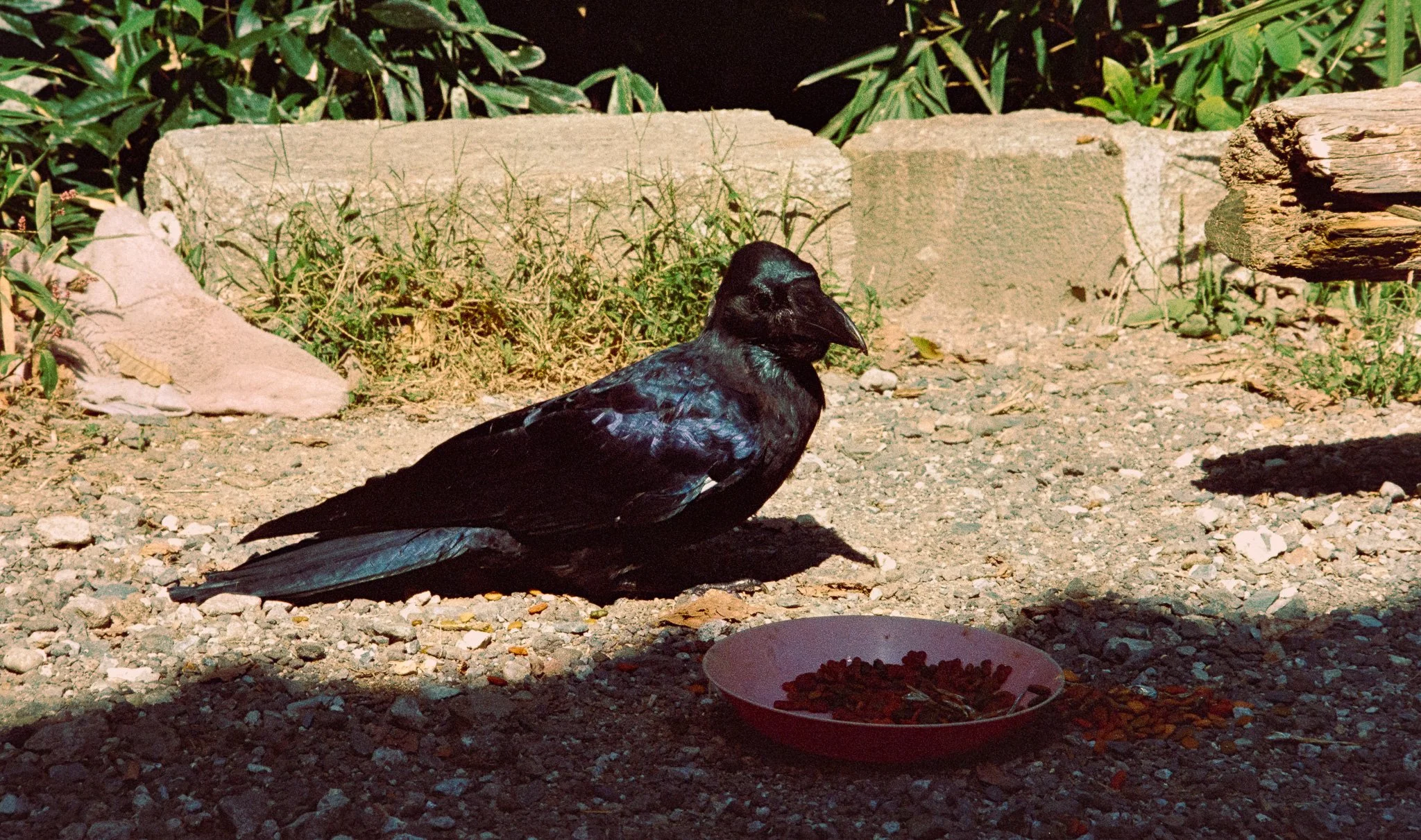 2608_14.jpg