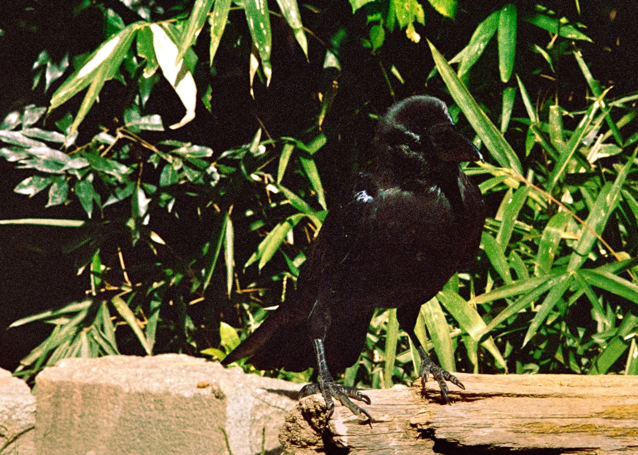 2608_13.jpg