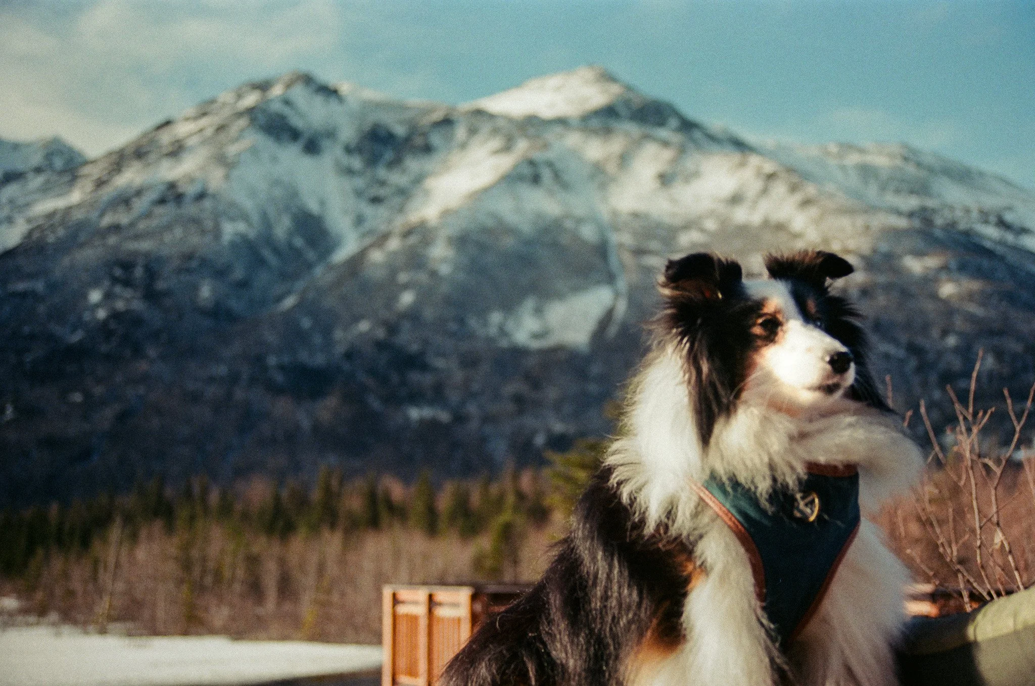 alaskaExodus-05.jpg