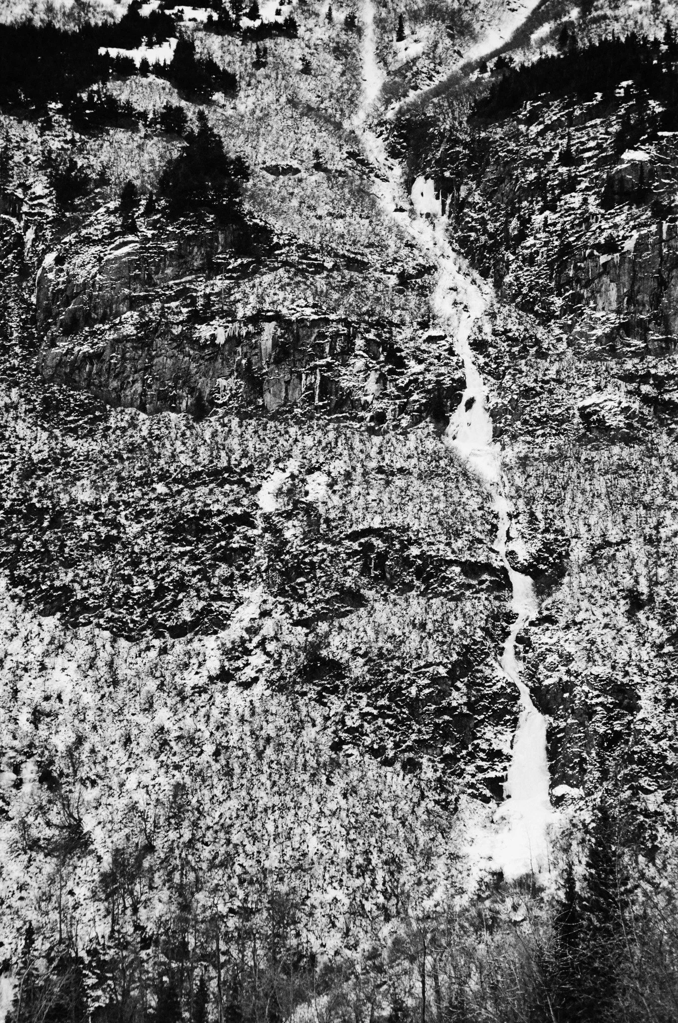 alaskaExodus-15.jpg