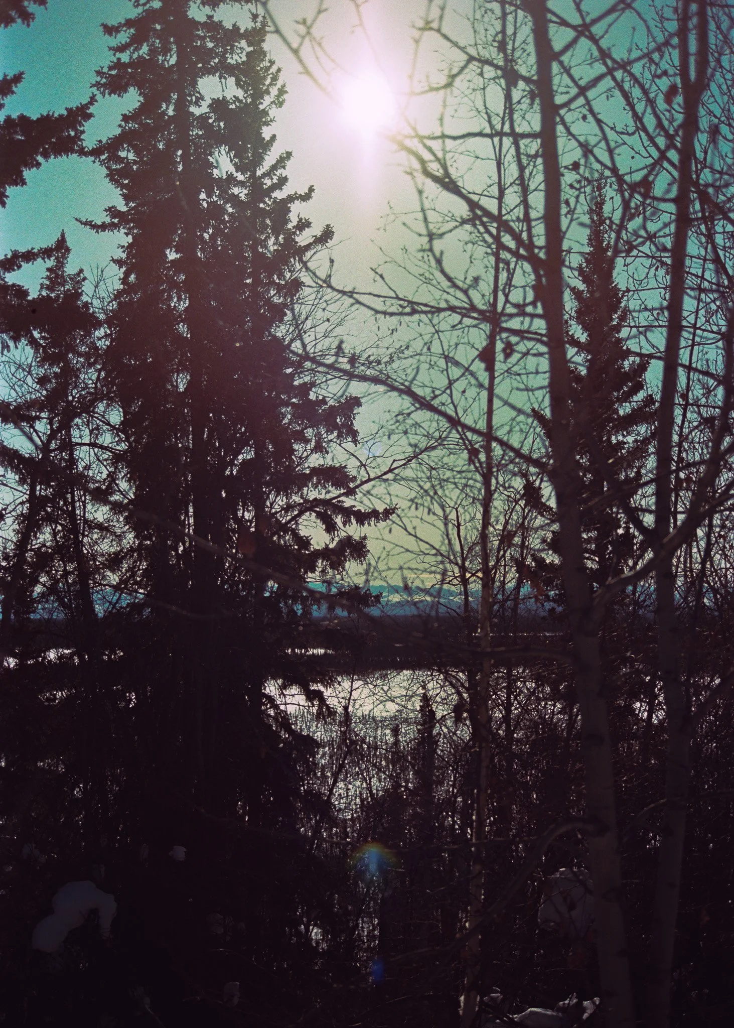 alaskaExodus-19.jpg
