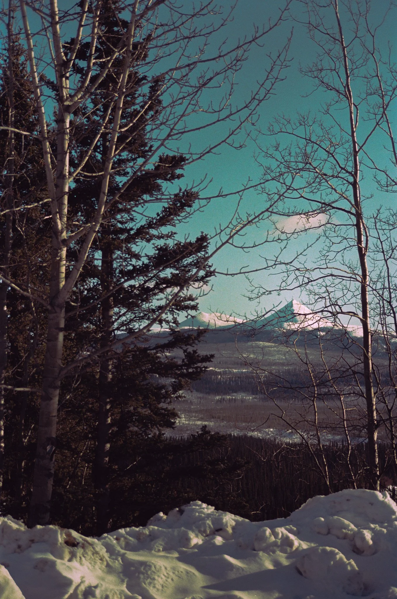 alaskaExodus-21.jpg