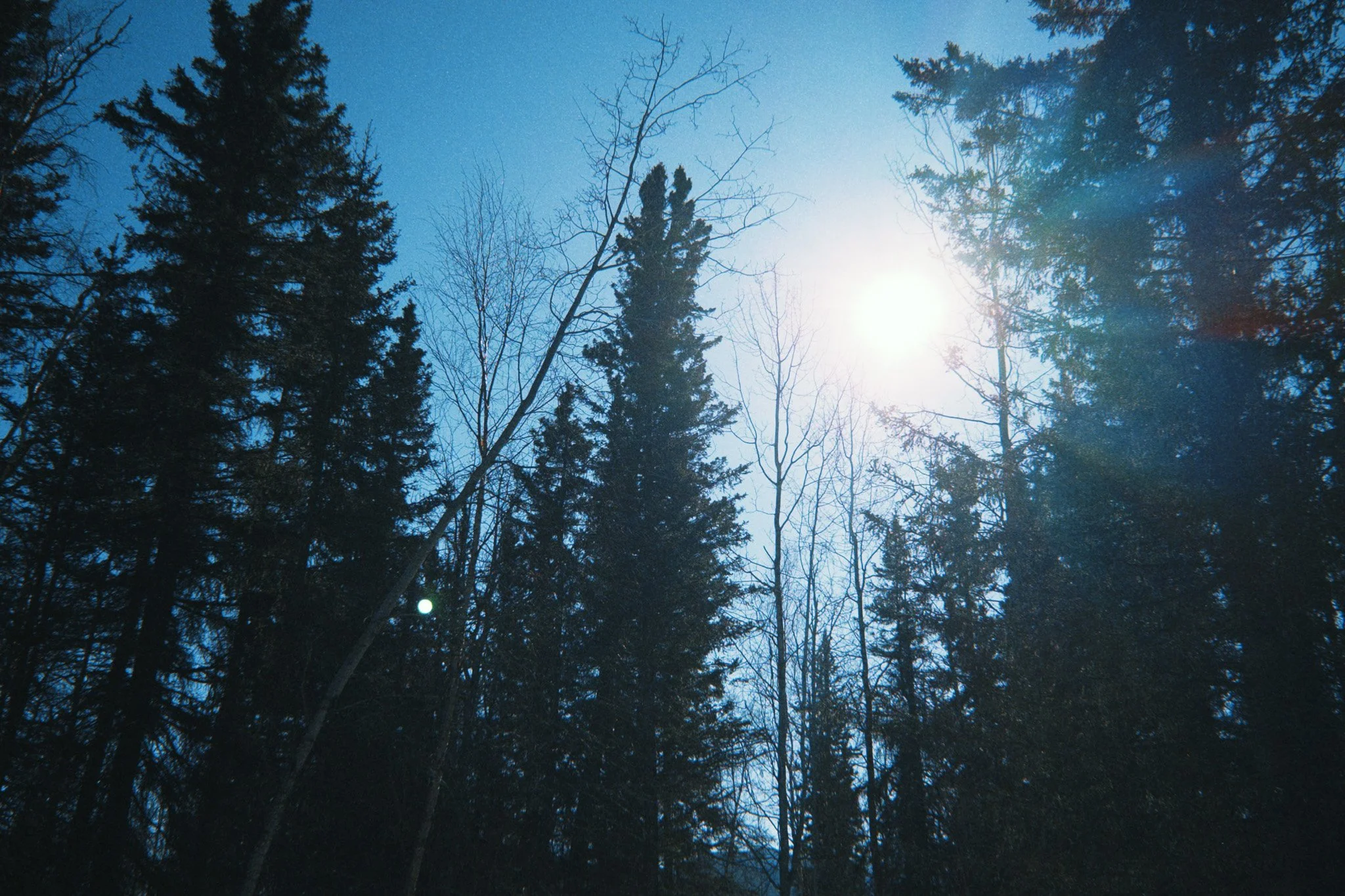 alaskaExodus-32.jpg