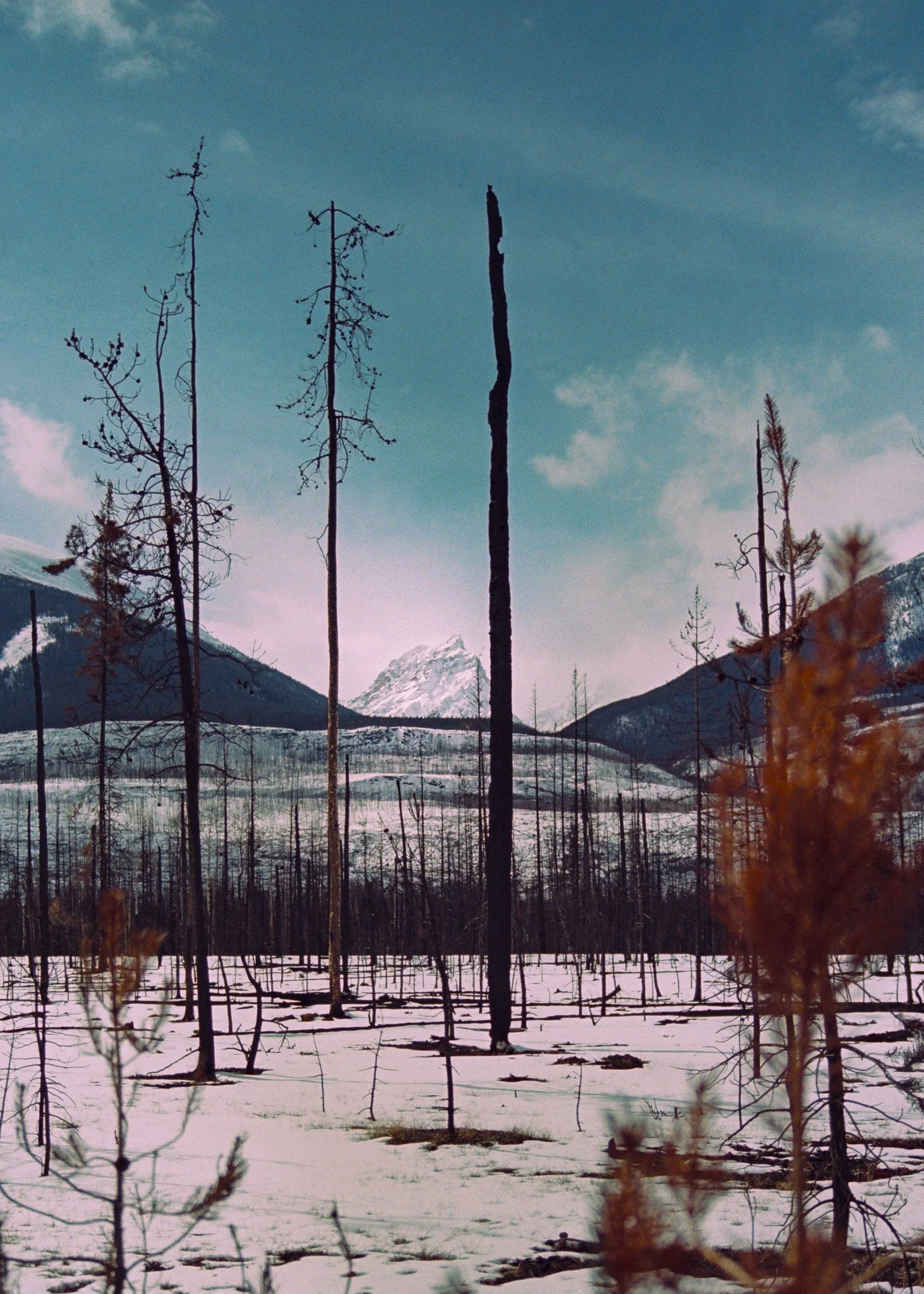 alaskaExodus-36.jpg