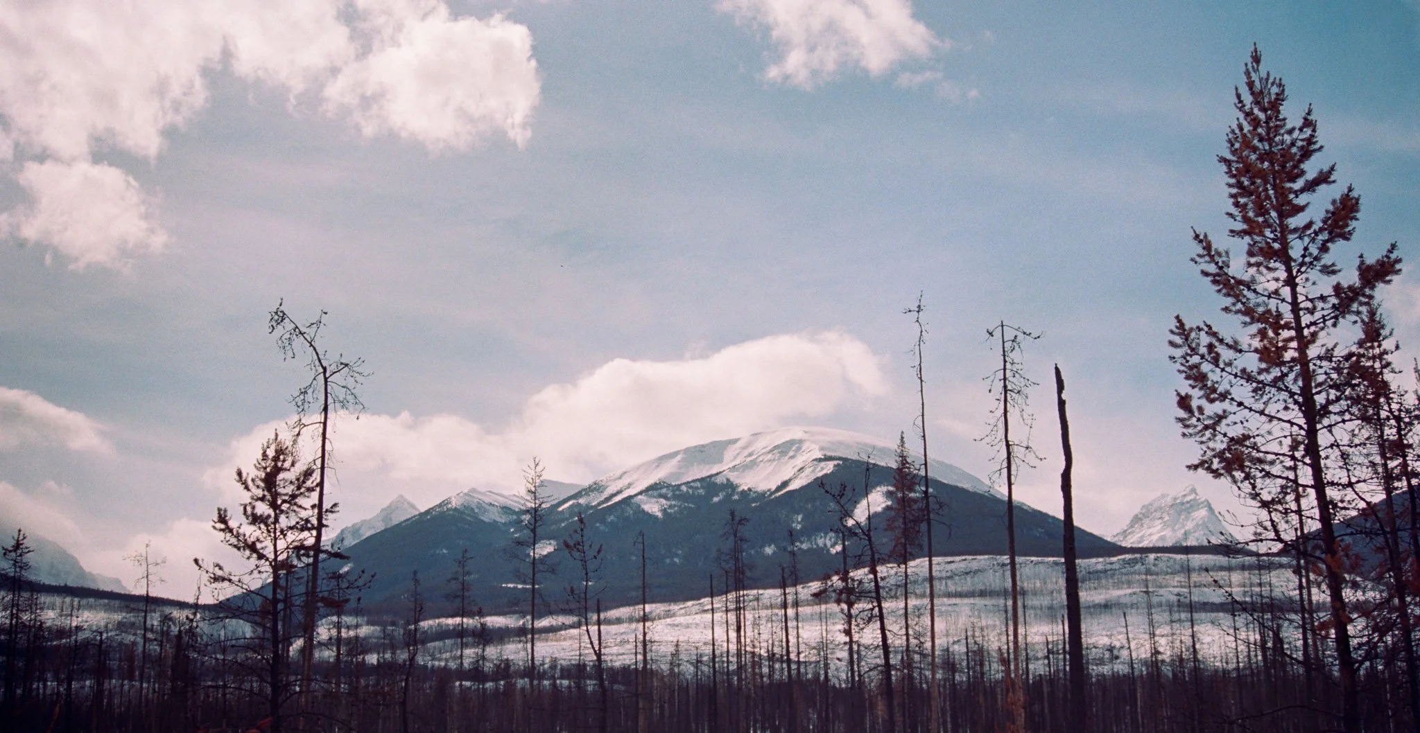 alaskaExodus-37.jpg